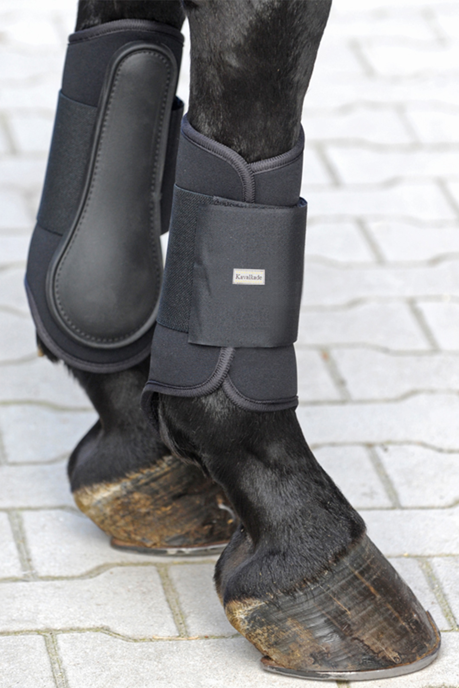 Black Kavalkade Neoprene pehmeät hivutussuojat etujalkoihin