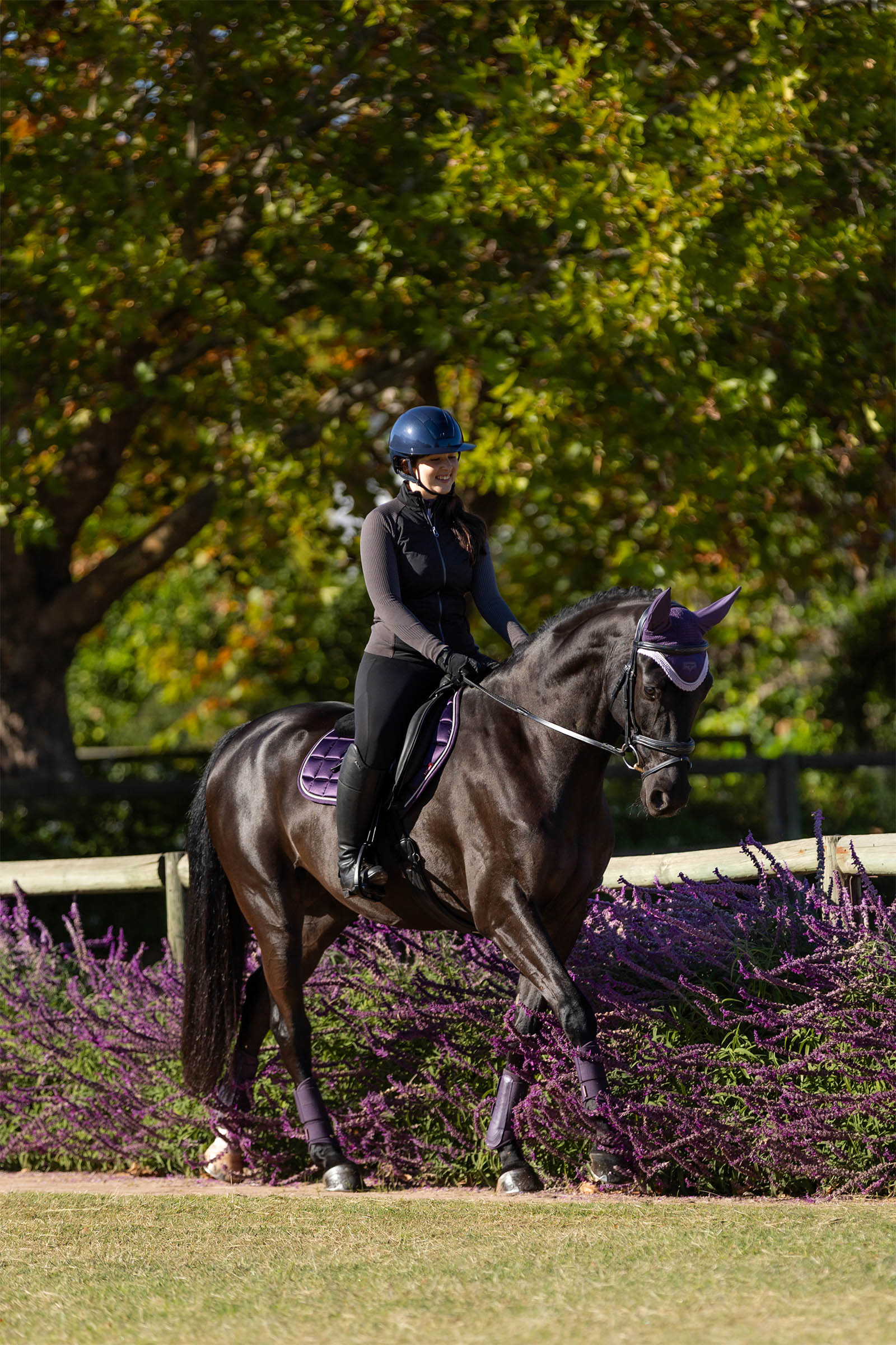 LeMieux Merino+ Loire klassinen Close Contact satulahuopa