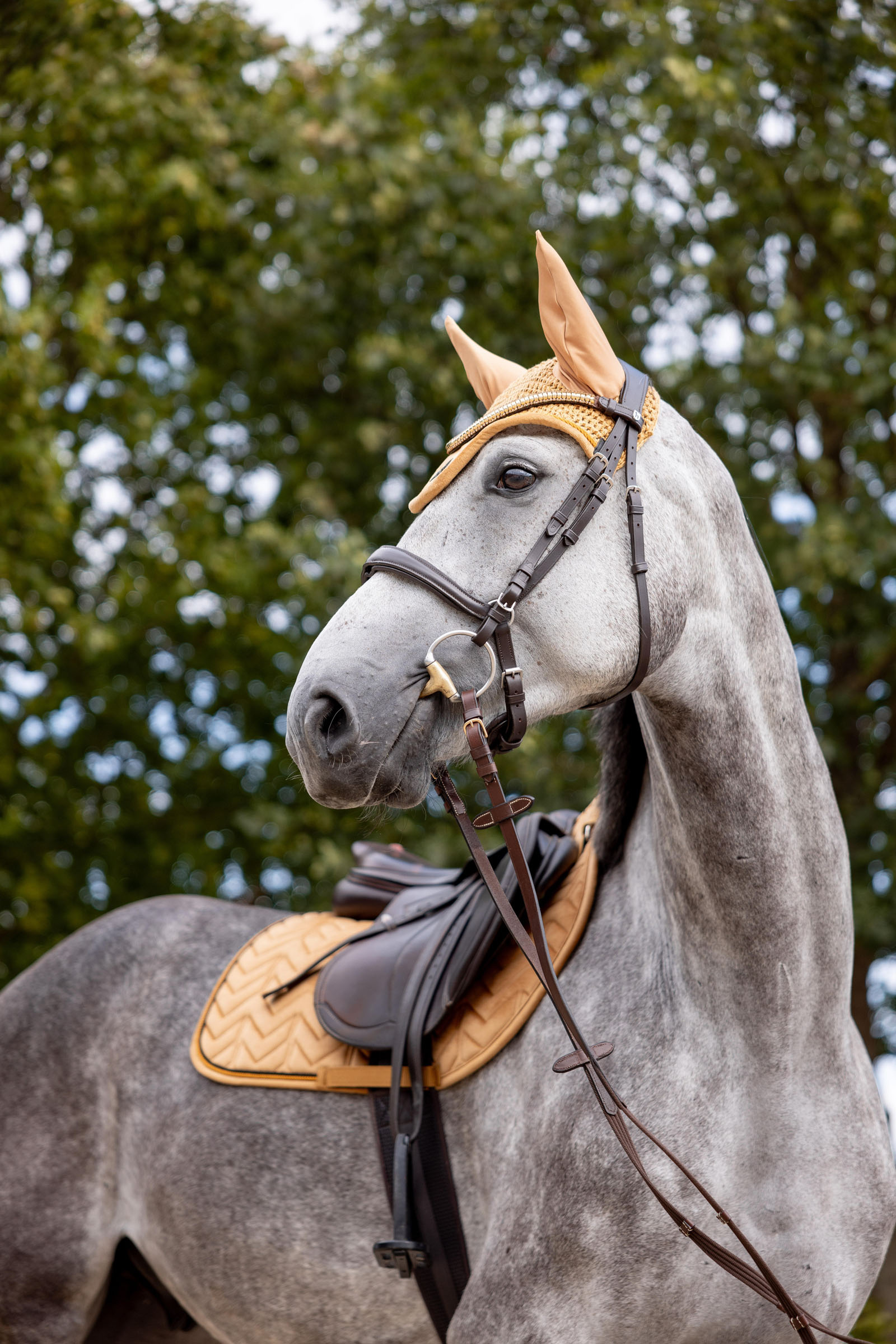 Horze Del&eacute;mont korvahuppu
