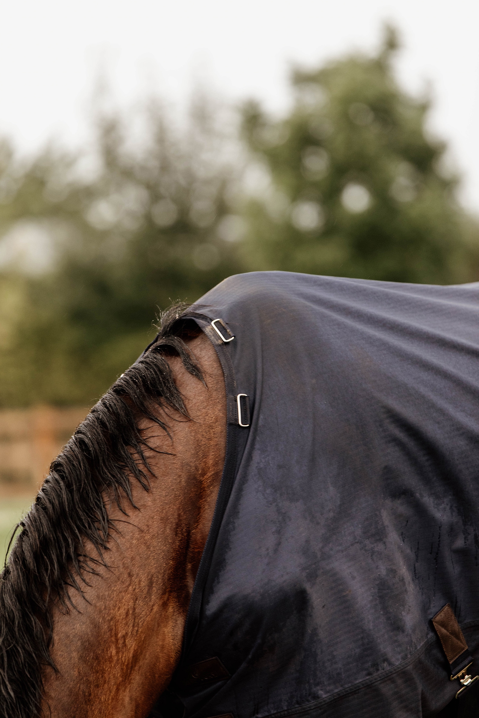 Kentucky Horsewear All Weather ulkoloimi, 300 g