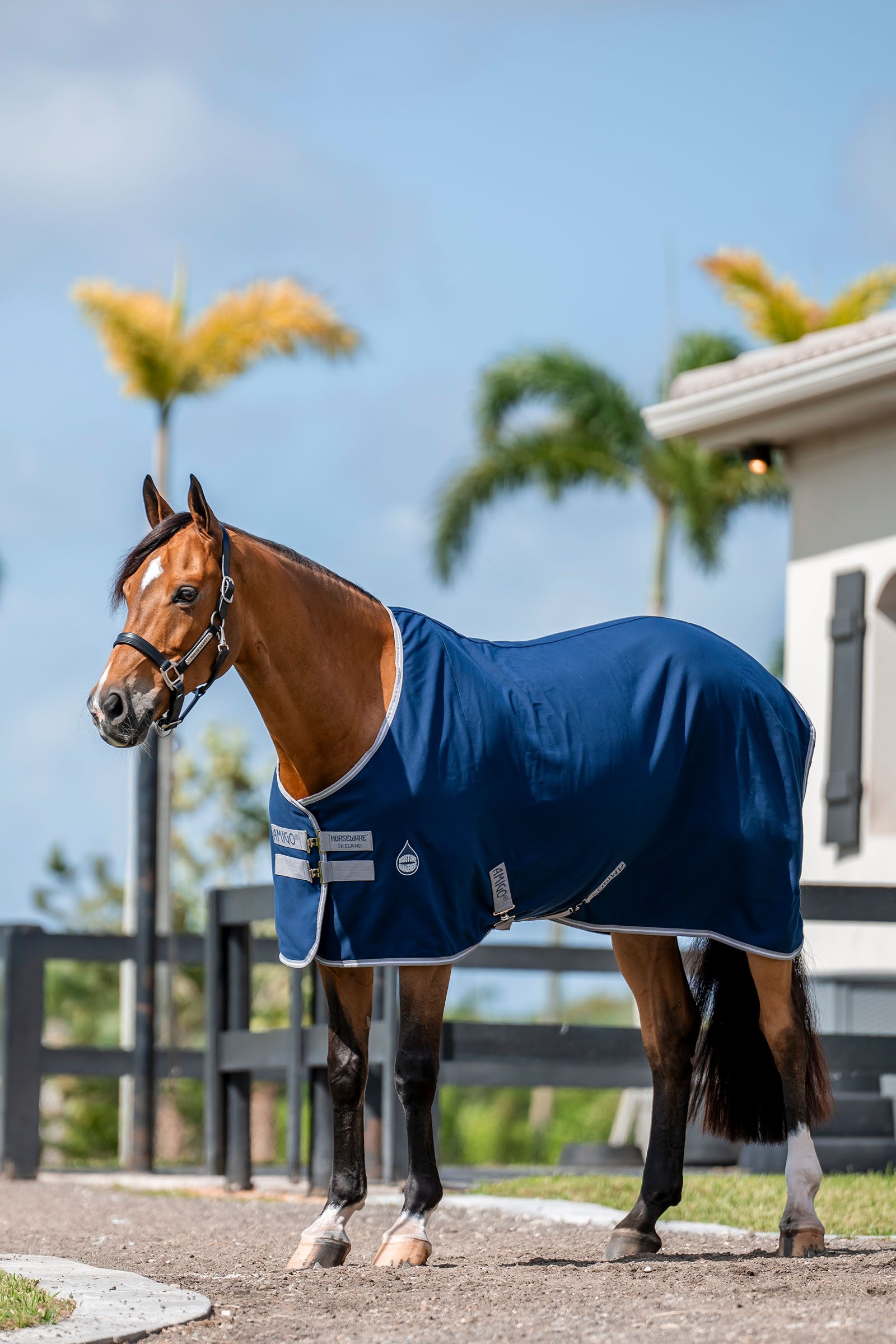 Horseware Amigo Talliloimi, 0g