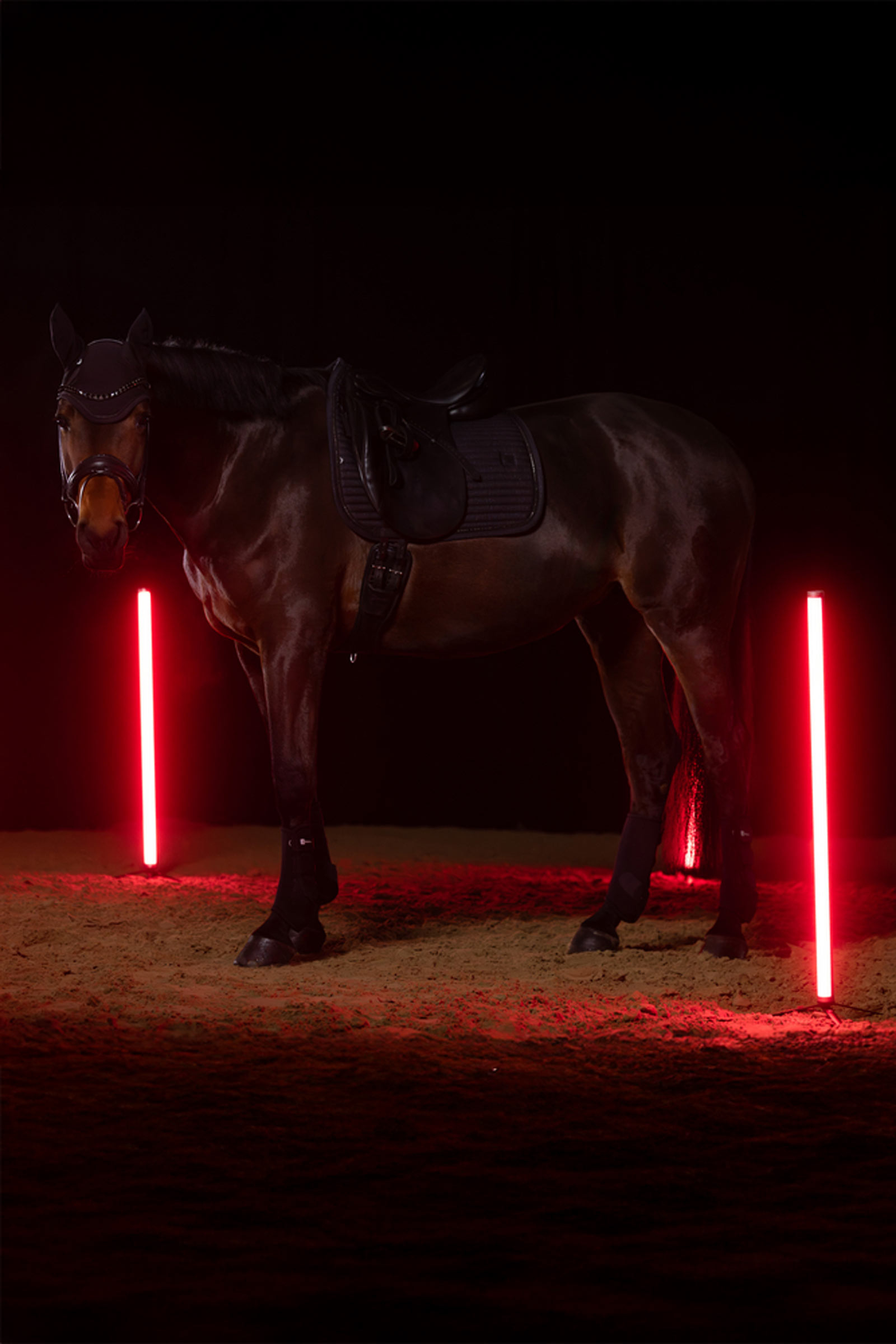 Eskadron Dynamics AW25 Sparkle Crystal kouluratsastushuopa