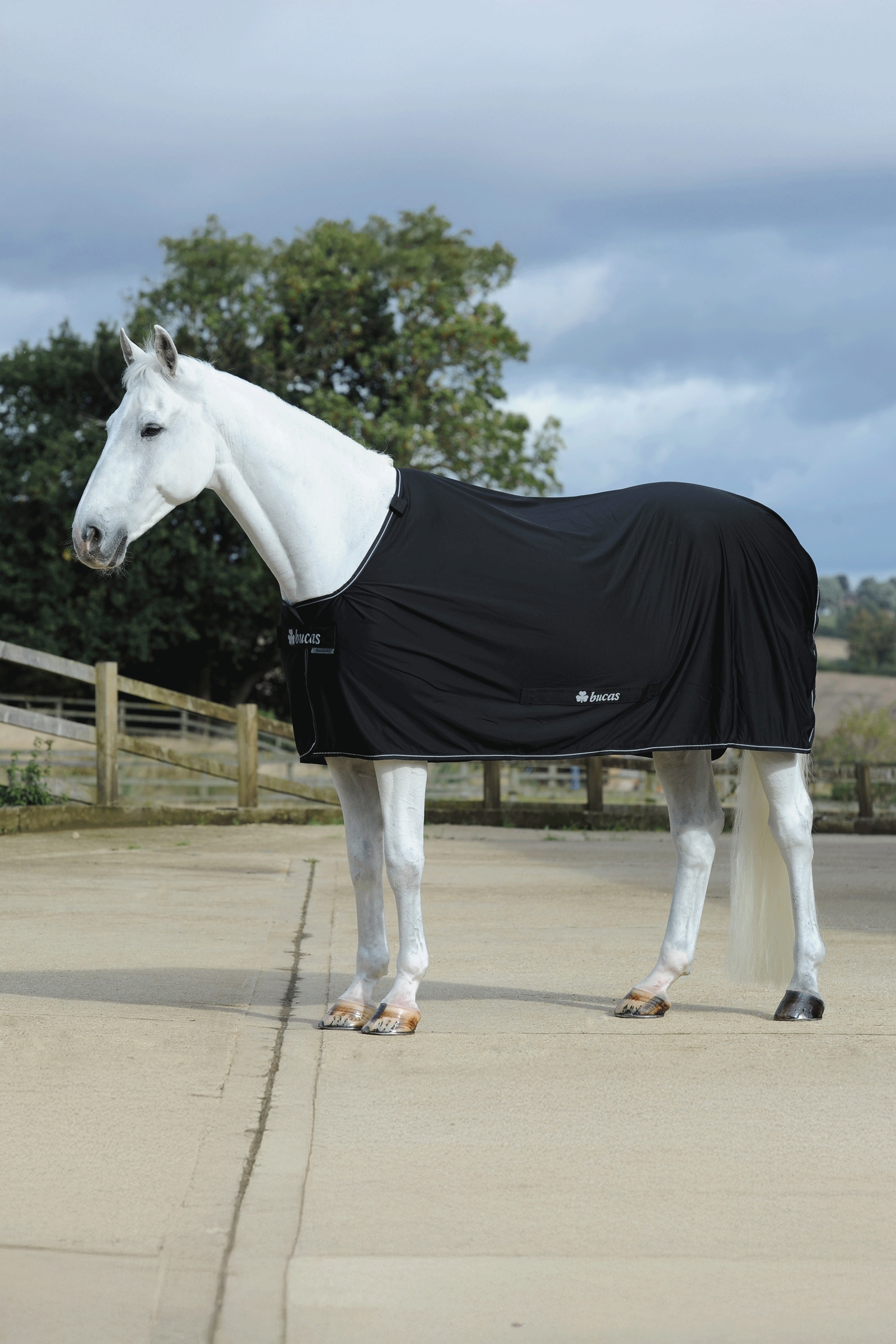 Bucas Power cooler-loimi