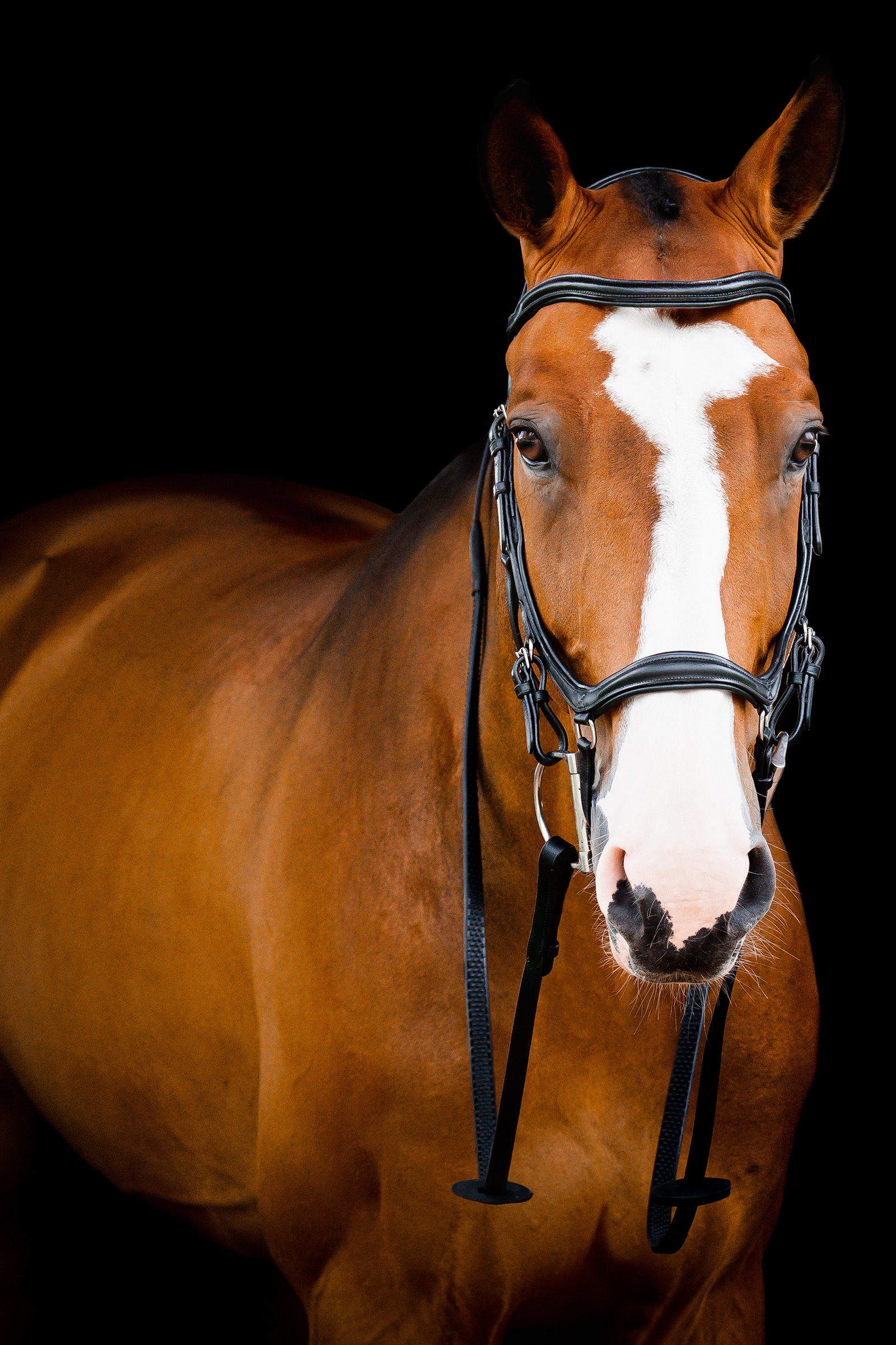 Horseware Micklem 2 Deluxe Competition Suitset