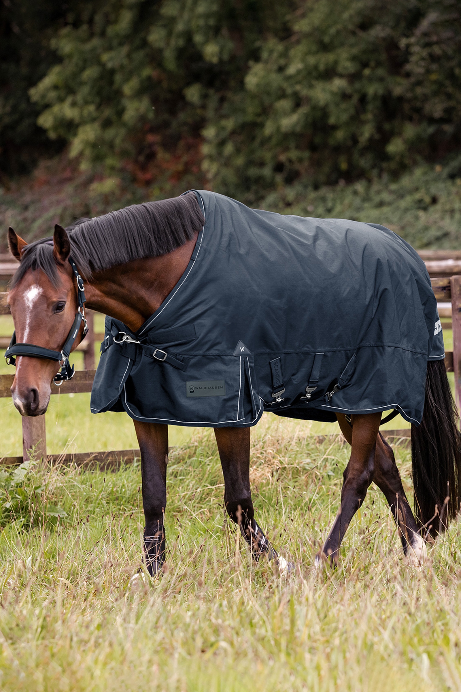 Waldhausen ulkoloimi Scandic 100g