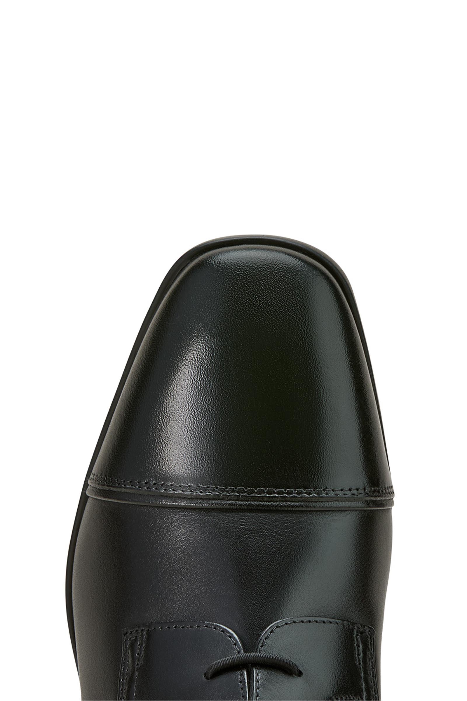 Ariat Palisade naisten ratsastussaappaat