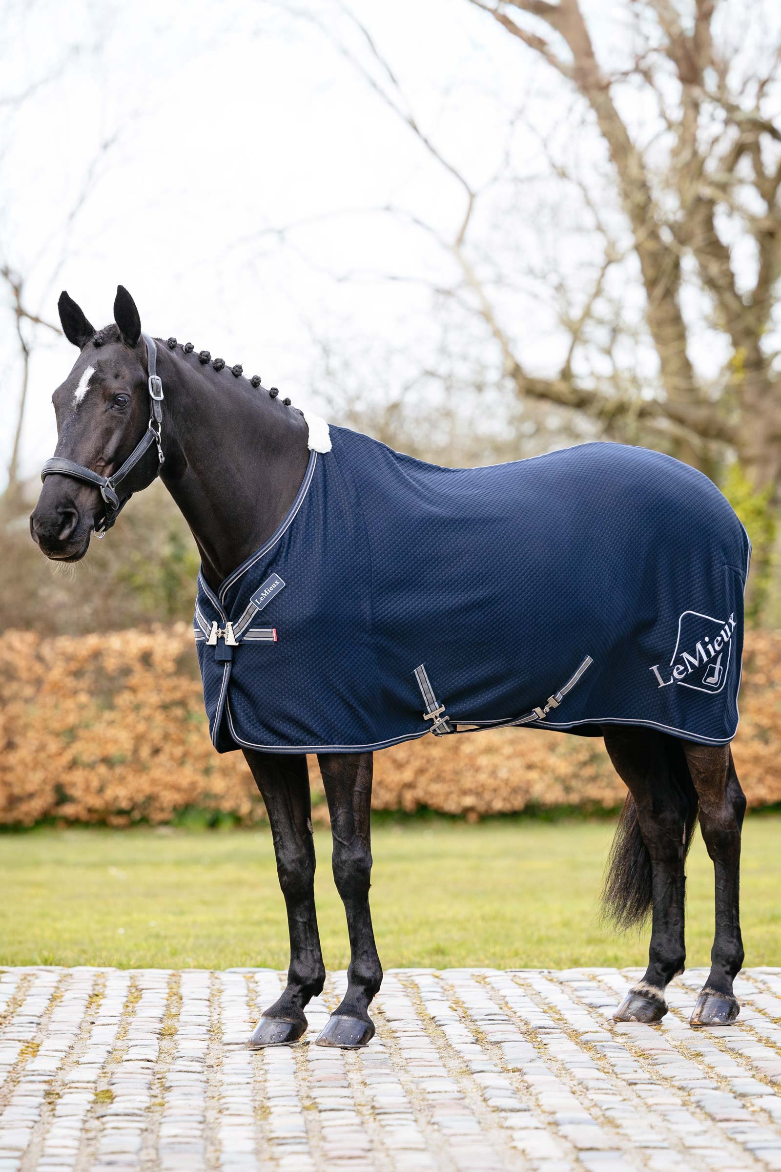 LeMieux Kudos bambu cooler loimi