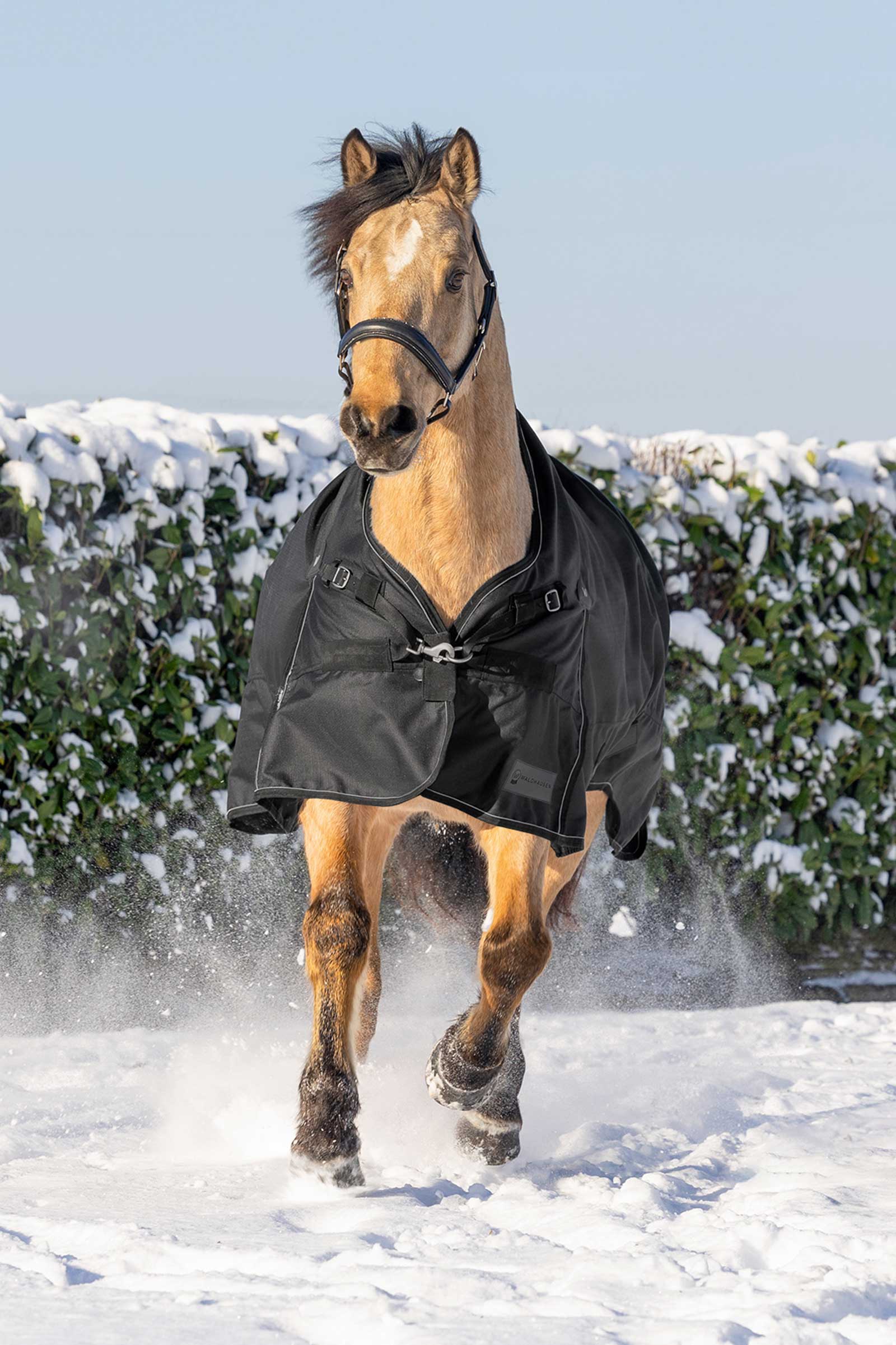 Waldhausen Scandic Ulkoloimi korkealla kauluksella, 200 g