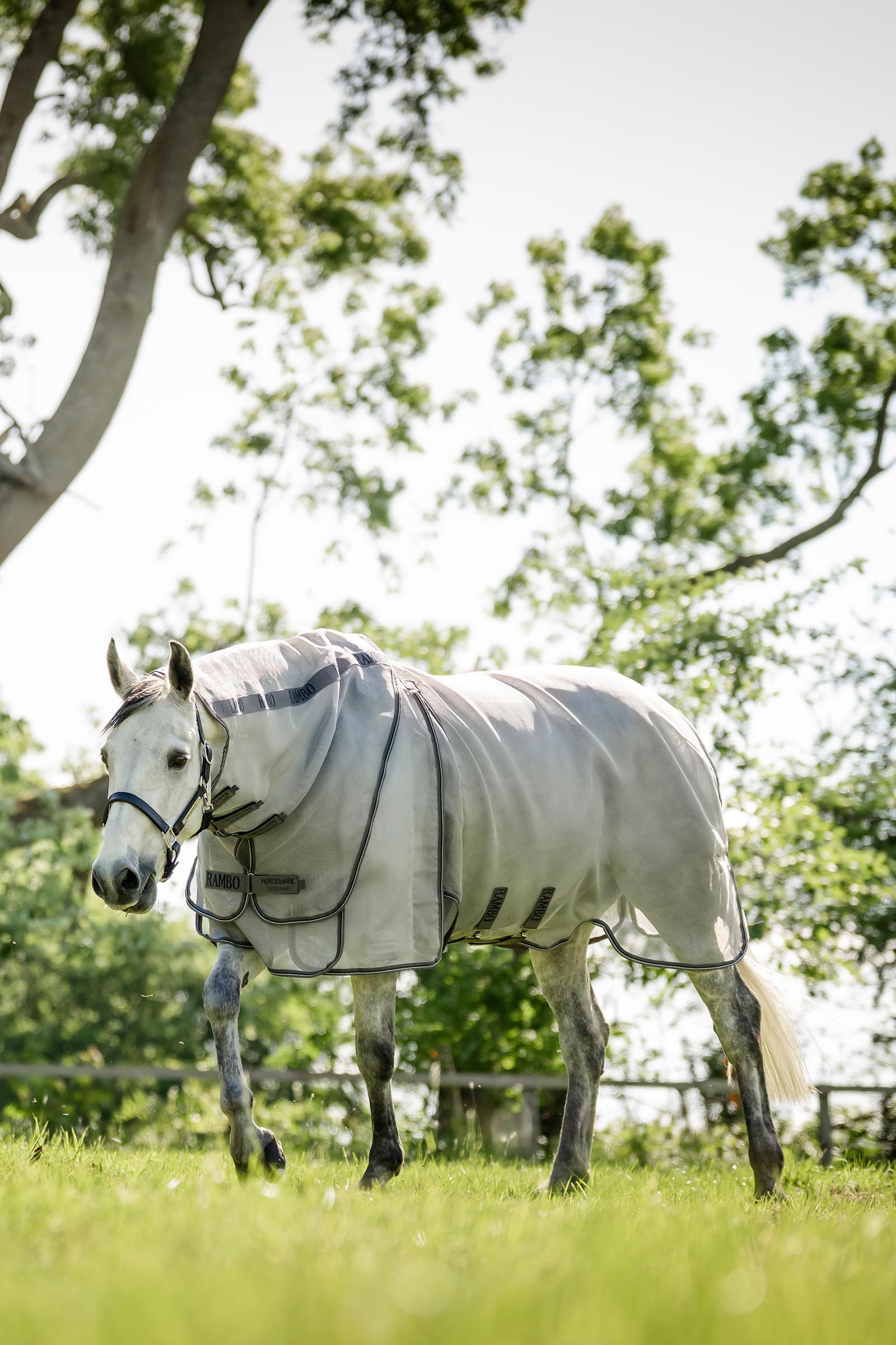 Horseware Rambo Optimo Protector Plus loimi