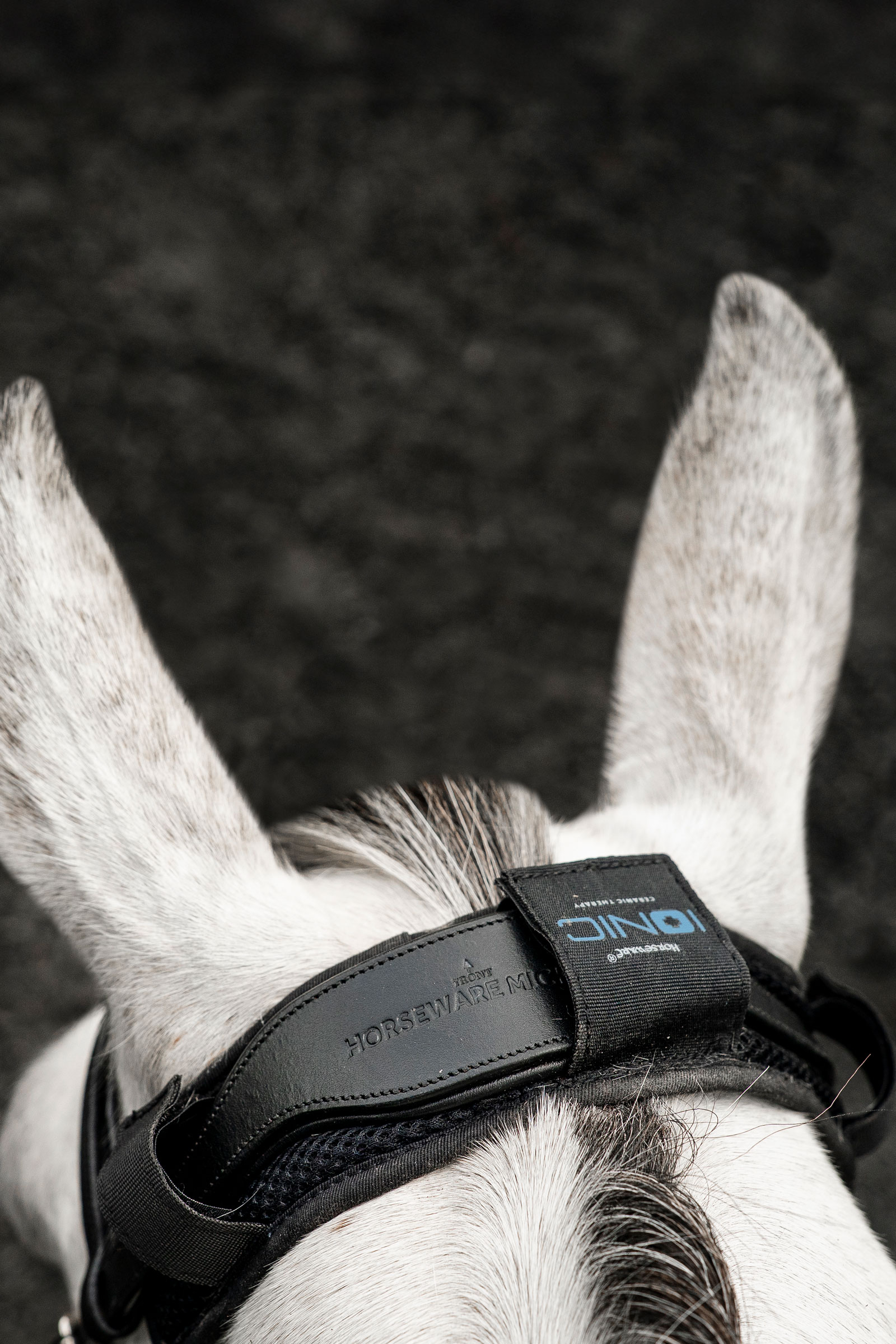 Horseware Ionic niskapehmuste