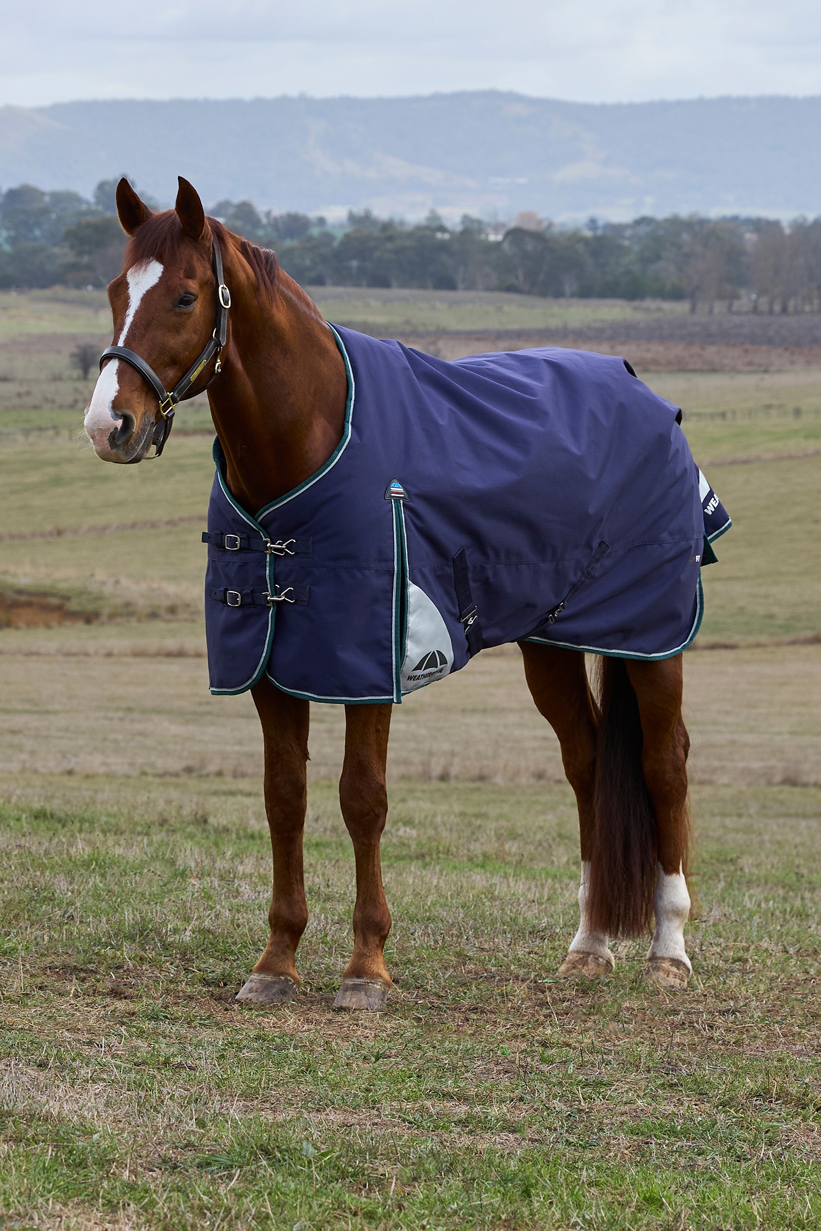 Navy/Forest Green Weatherbeeta ComFiTecPlus Dynamic Ulkoloimi irrotettavalla kaulakappaleella, 100 g  