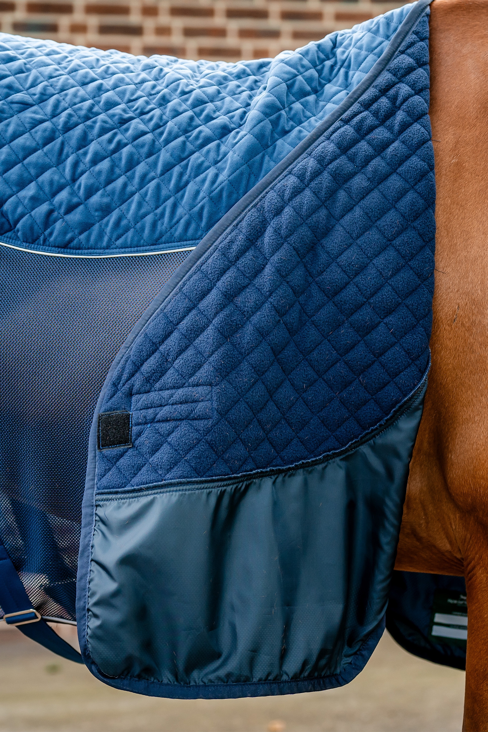 Horseware Signature Kuljetuspeitto, 50g