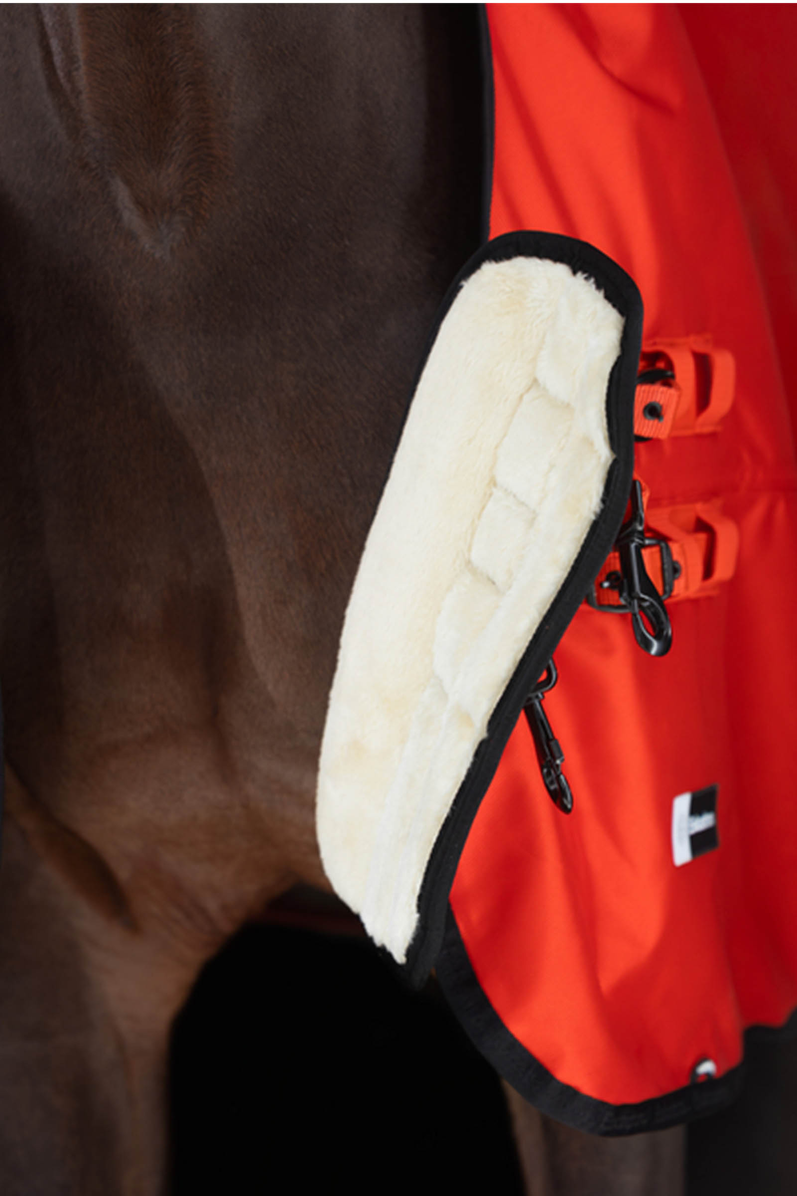 Eskadron Dynamics AW25 Beta ulkoloimi, 50 g