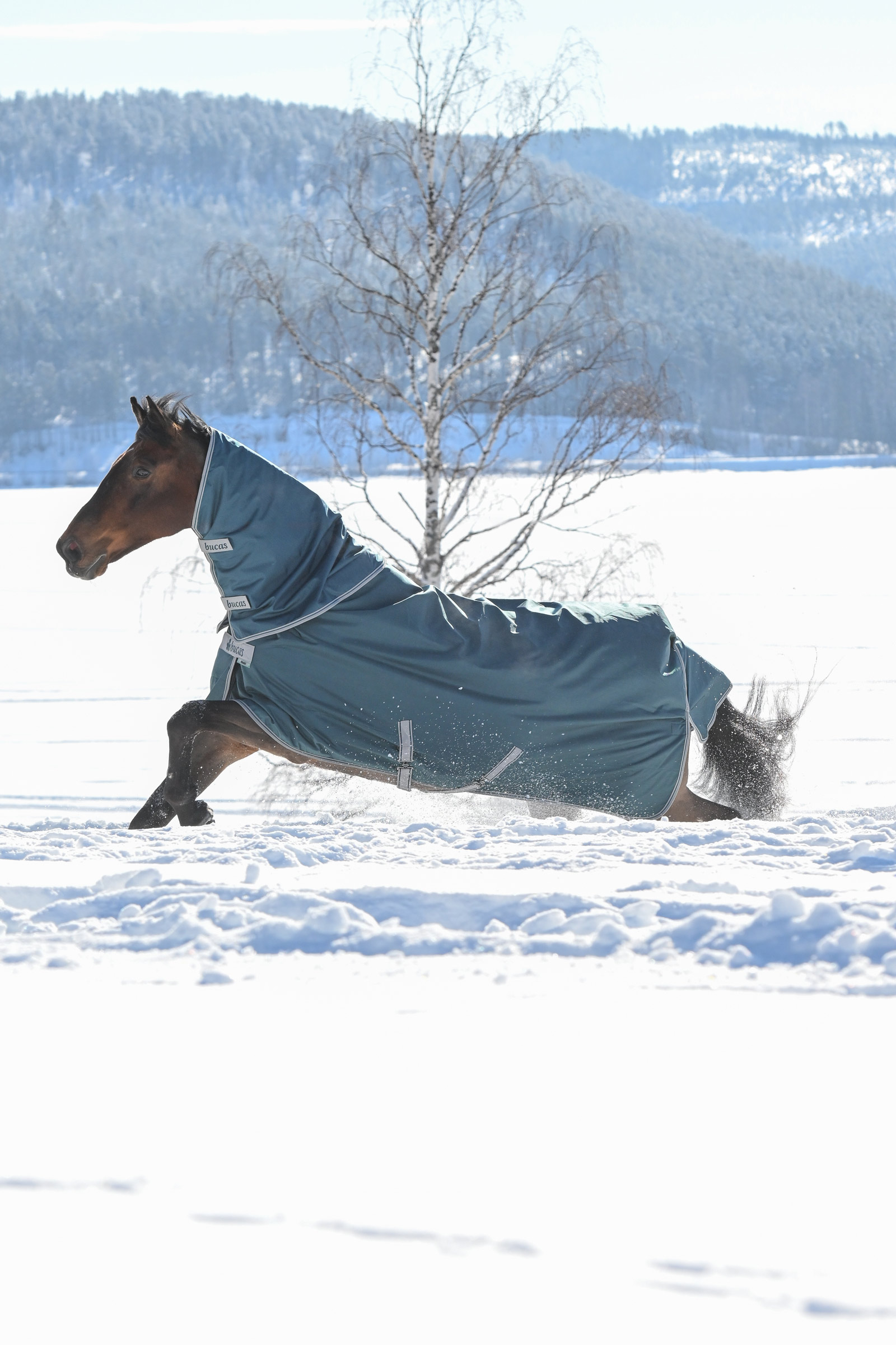 Bucas Atlantic kaukakappale ulkoloimeen, 300 g