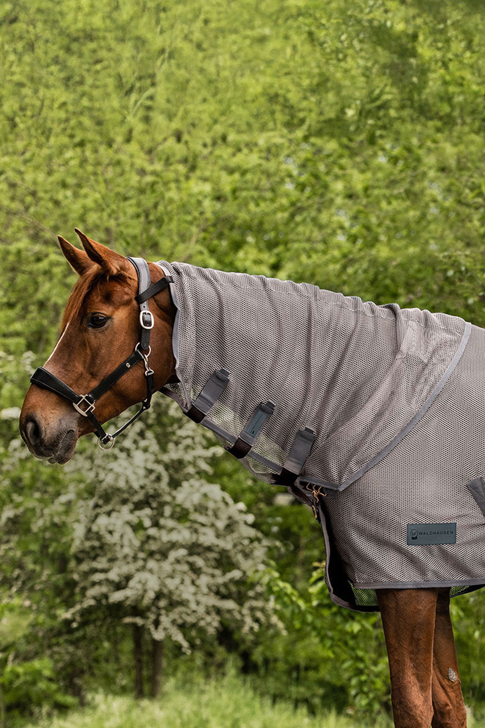 Waldhausen Comfort k&auml;rp&auml;ssuojakaulakappale