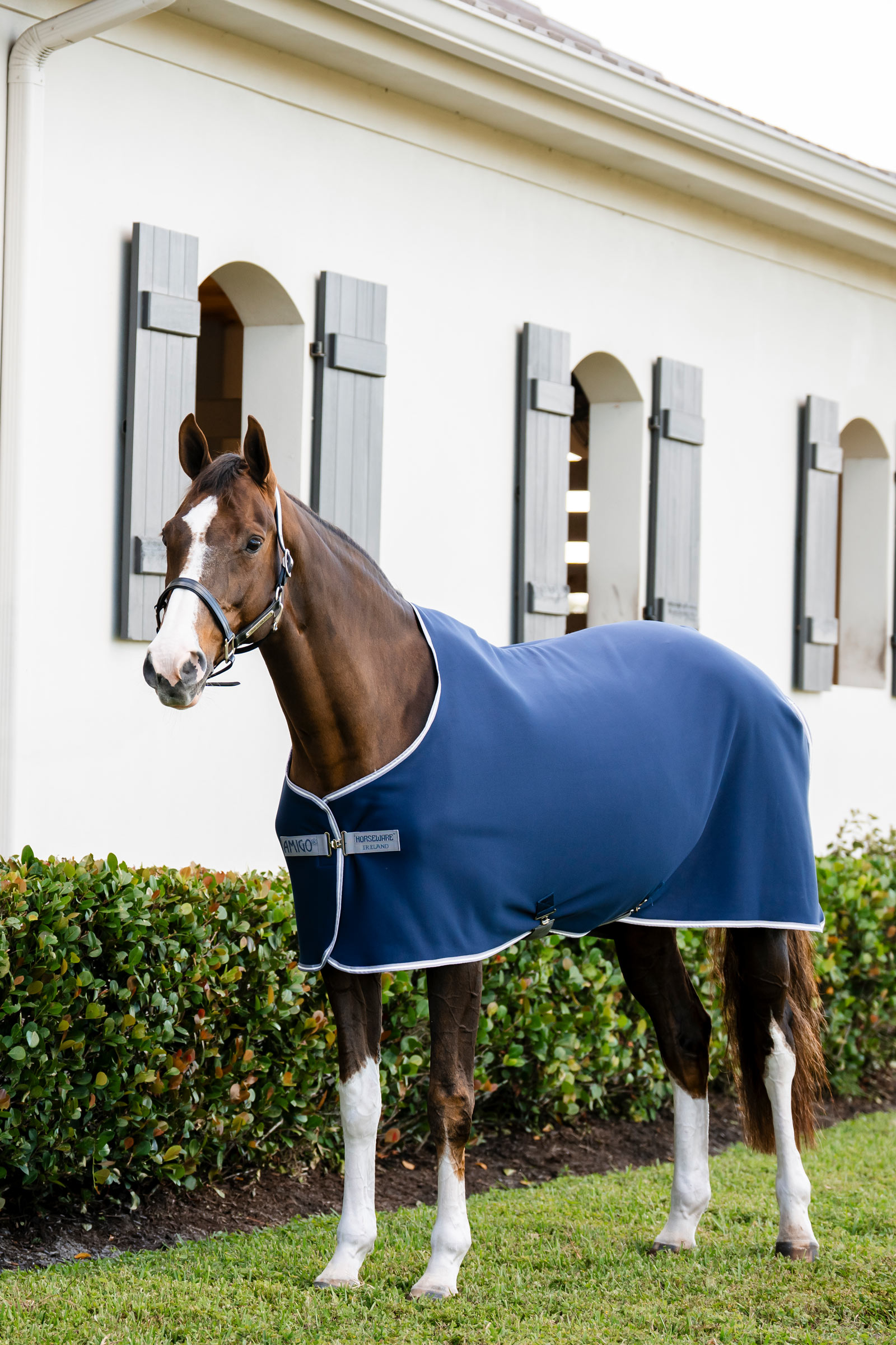 Horseware Amigo Jersey cooler-loimi