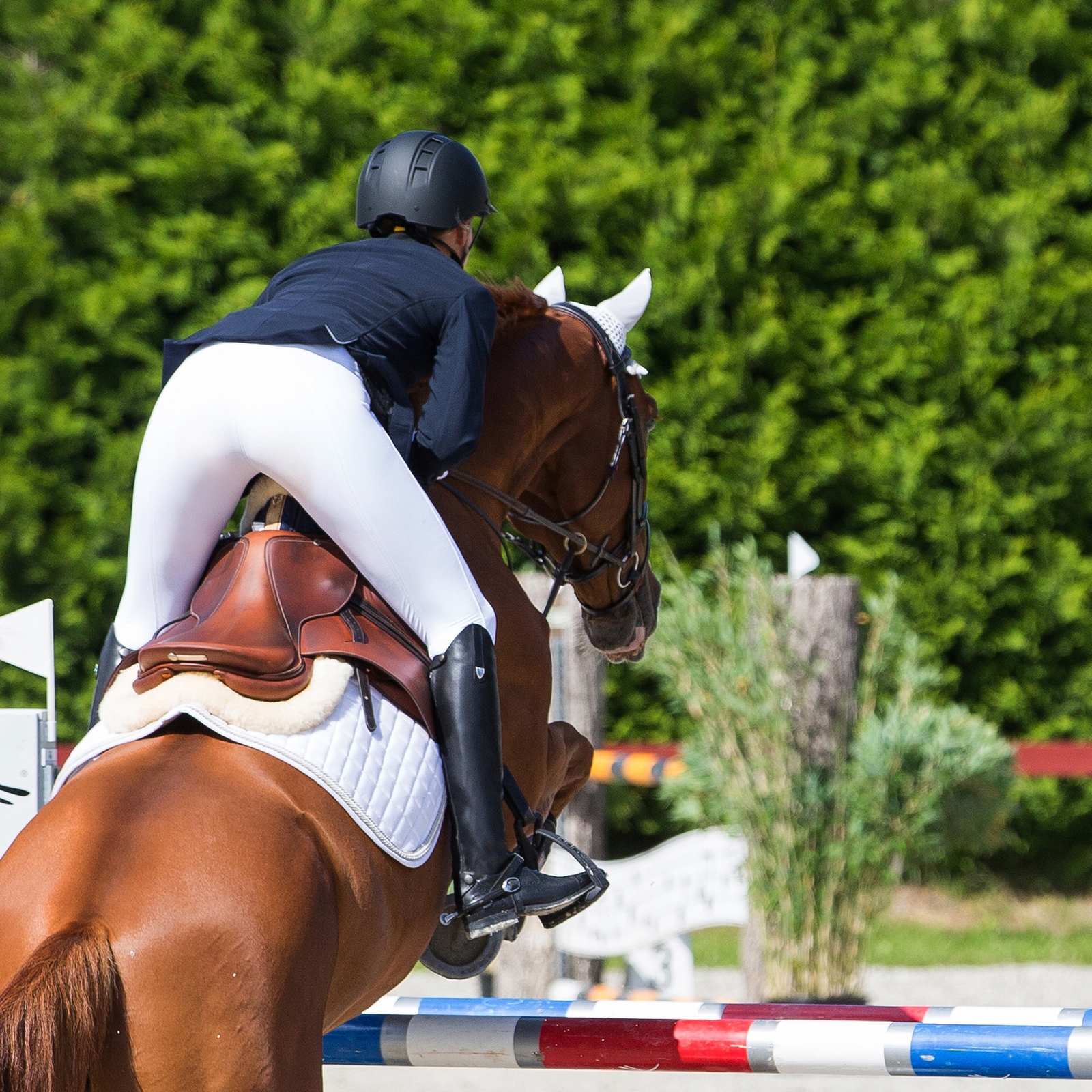 Aidot nahkasaappaat Horze Winslow