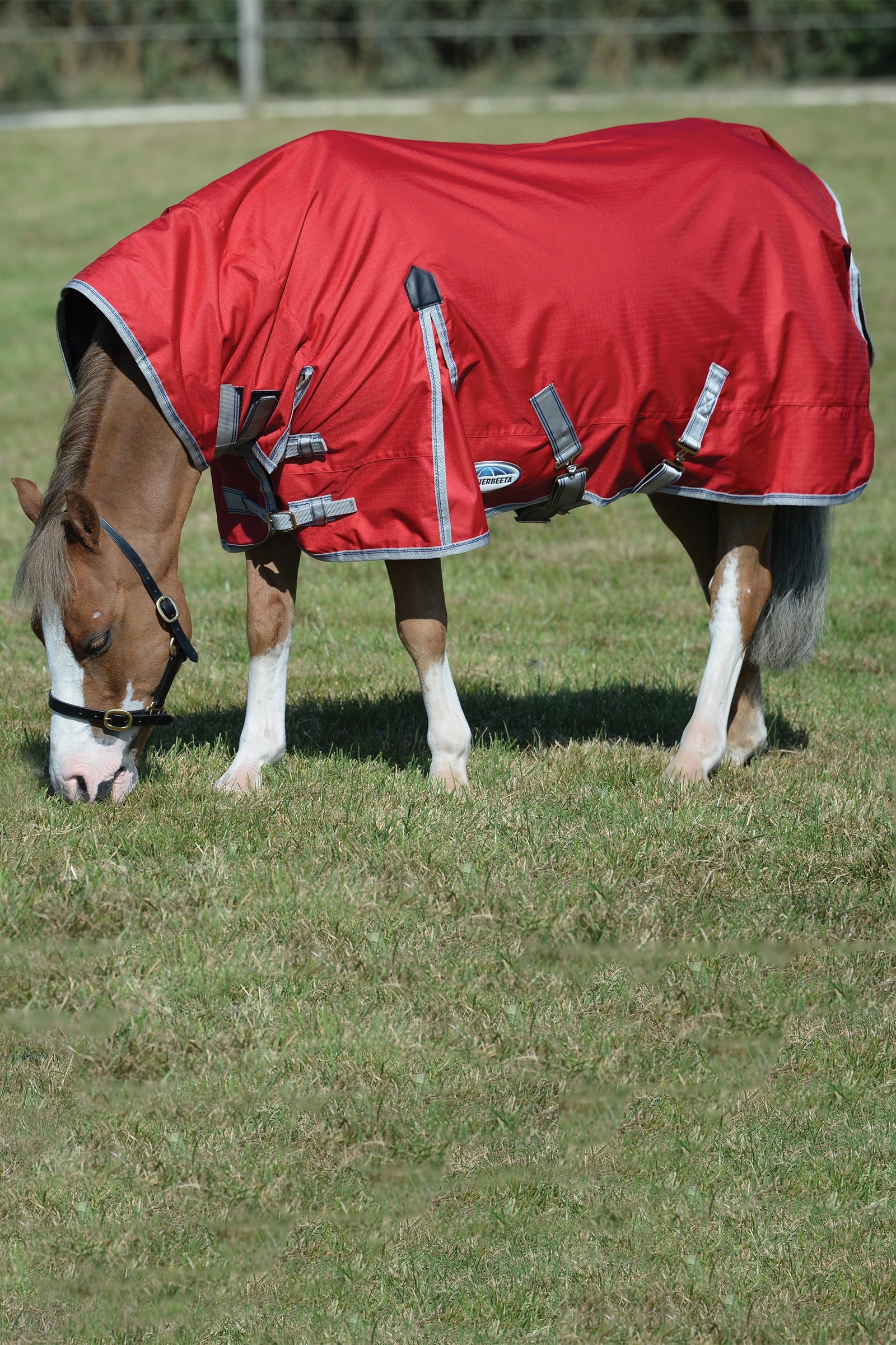 Weatherbeeta Comfitec Classic Loimi integroidulla kauluksella, 50g
