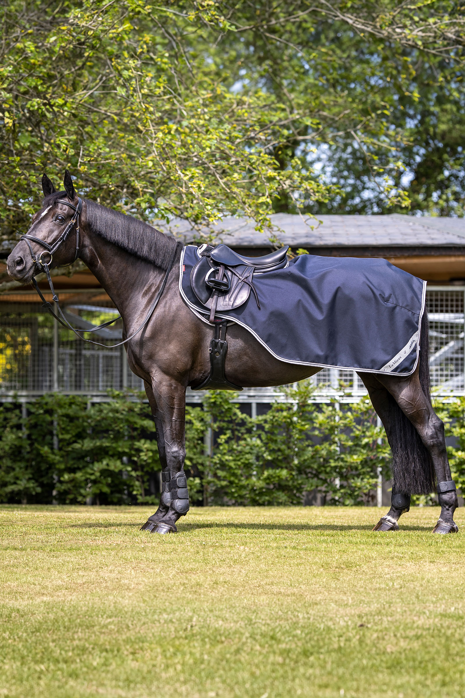 LeMieux Arika harjoitusloimi