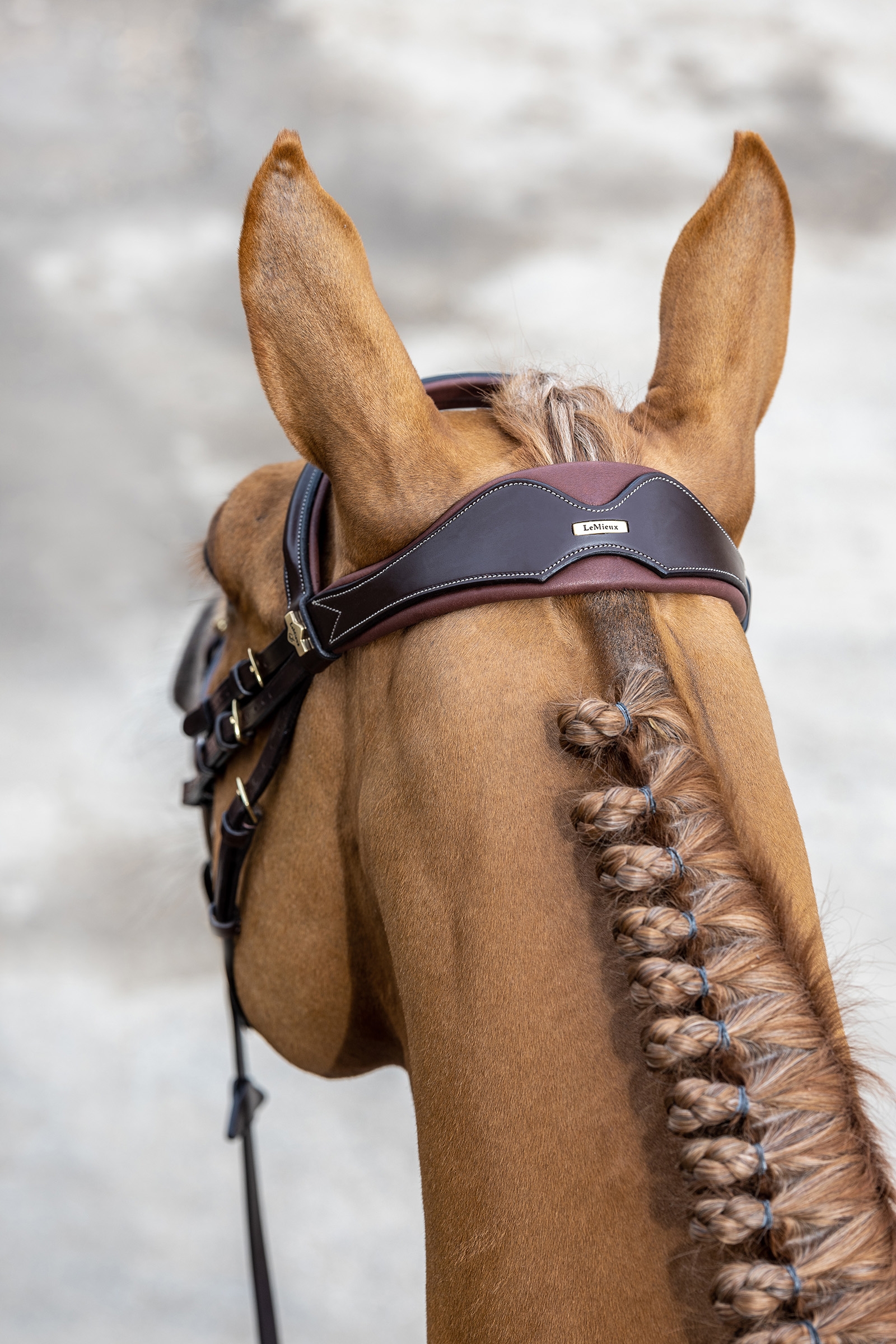 LeMieux Competiton Flash Bridle