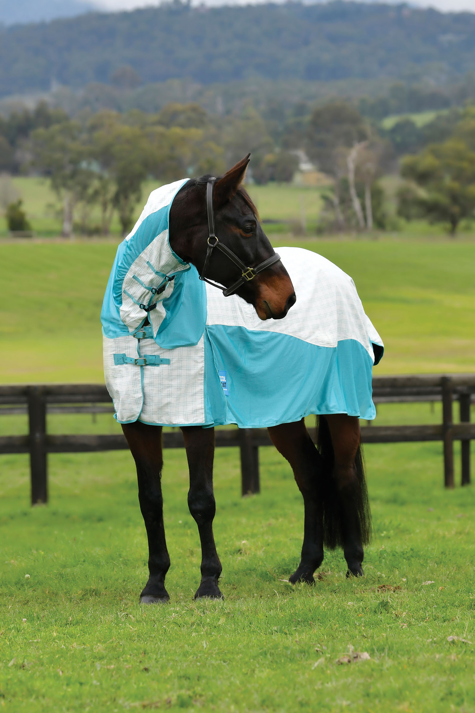 Weatherbeeta Kool Coat Puuvilla Airstream Ii Detach-A-Neck