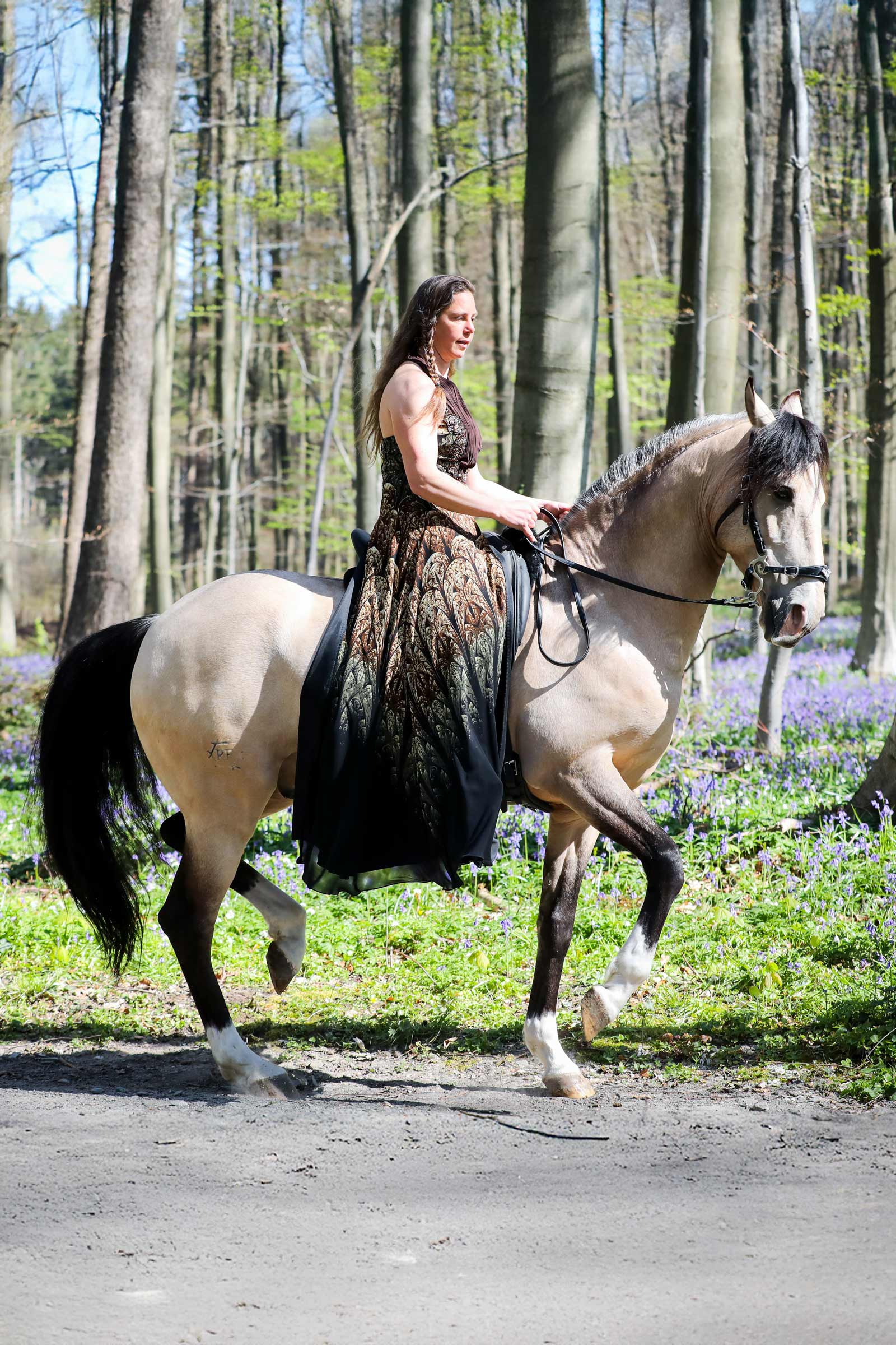 F.R.A. Freedom Riding Articles Imperial Hackamore suitset ohjilla (System 2)