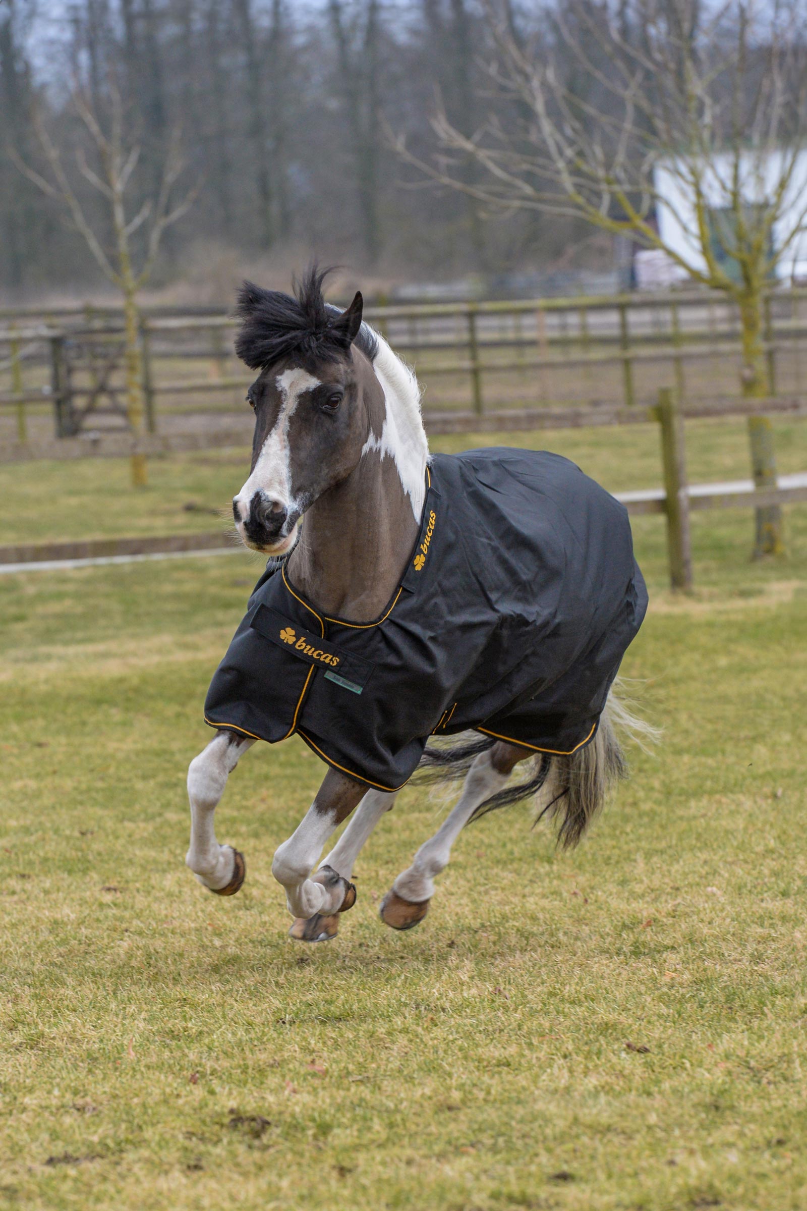 Bucas Irish Pony ulkoloimi, 50g