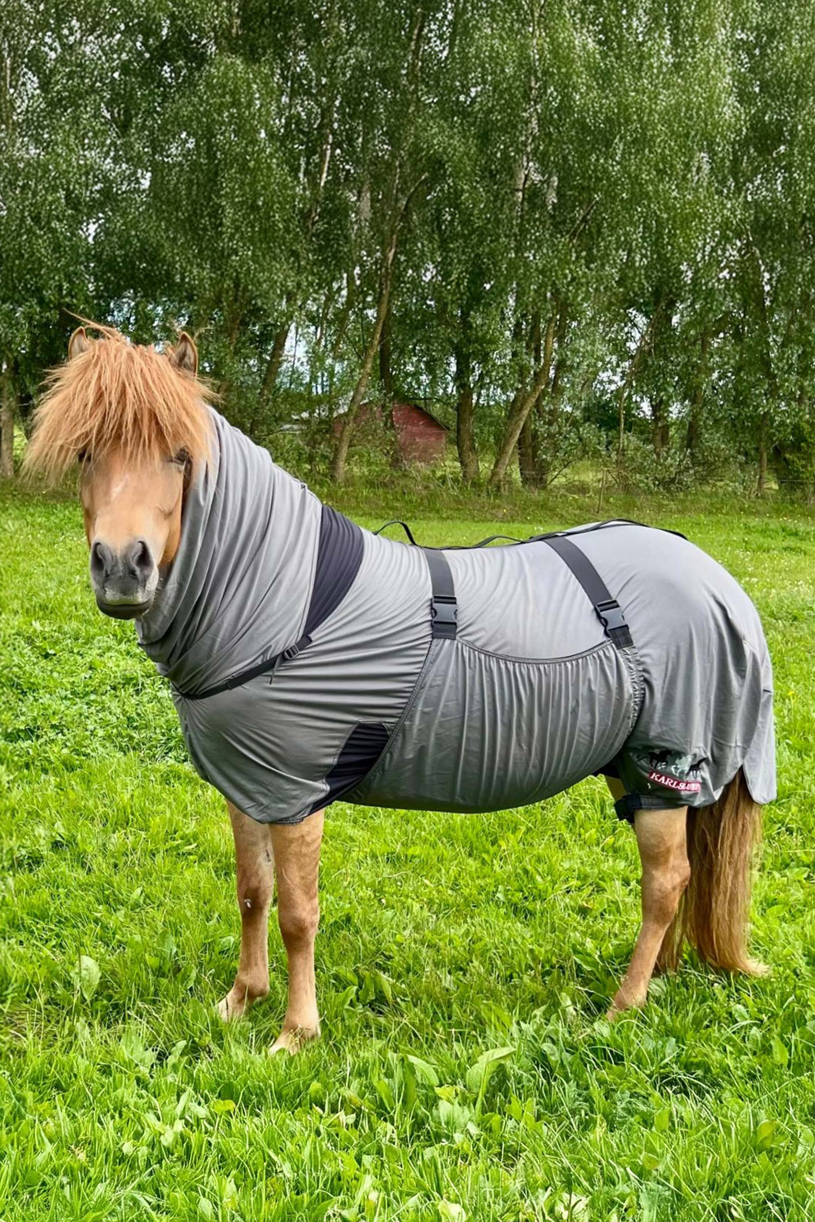 Karlslund Matti Ekseemipeite kiinte&auml;ll&auml; kaulaosalla, 0g