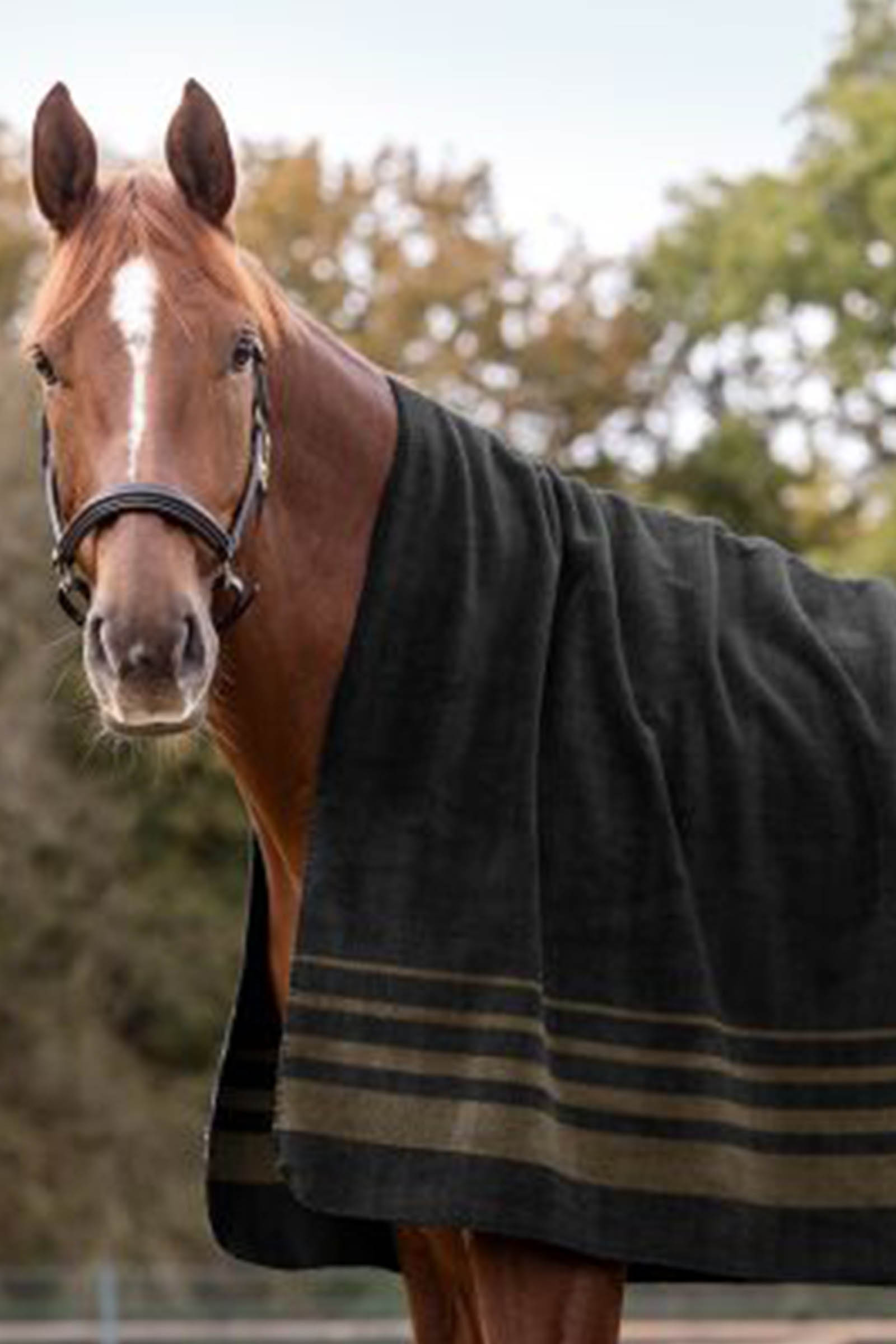 Waldhausen S&ouml;lden fleece-loimi