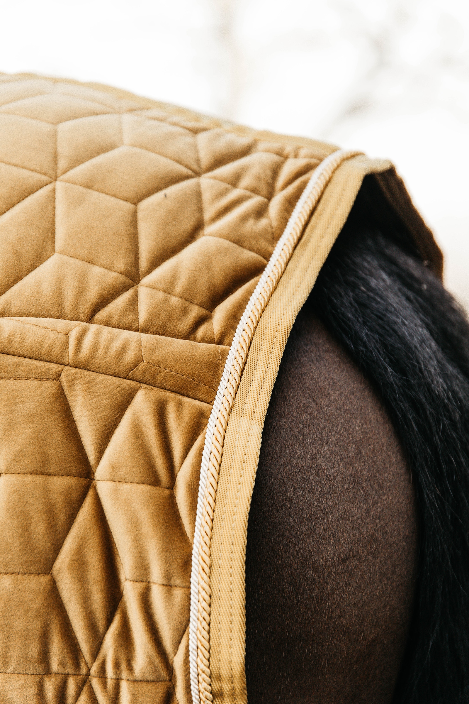 Kentucky Velvet Pony kilpailuloimi, 160 g