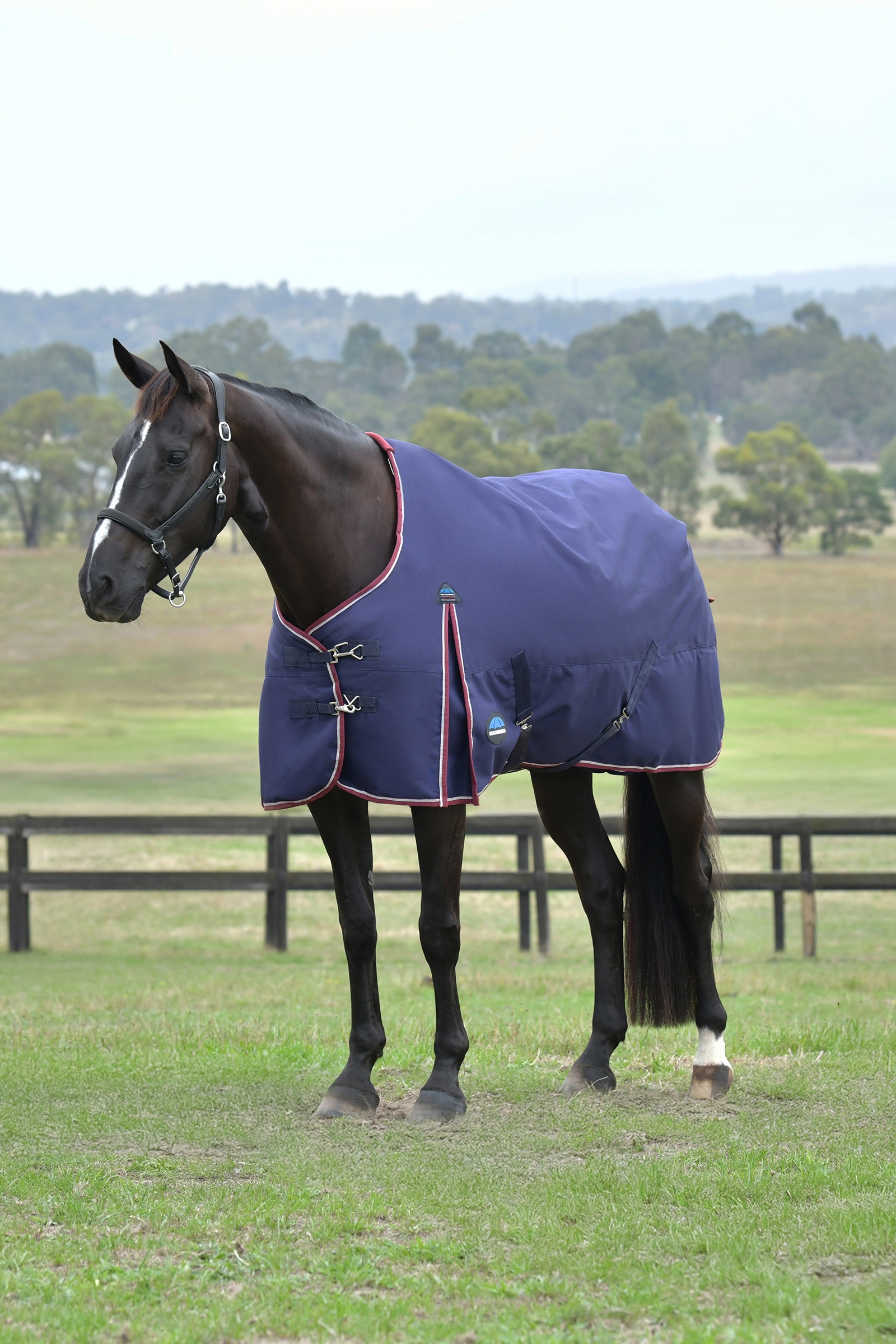 Navy/Burgundy Weatherbeeta ComFiTec Essential Turnout Standard Neck 50G