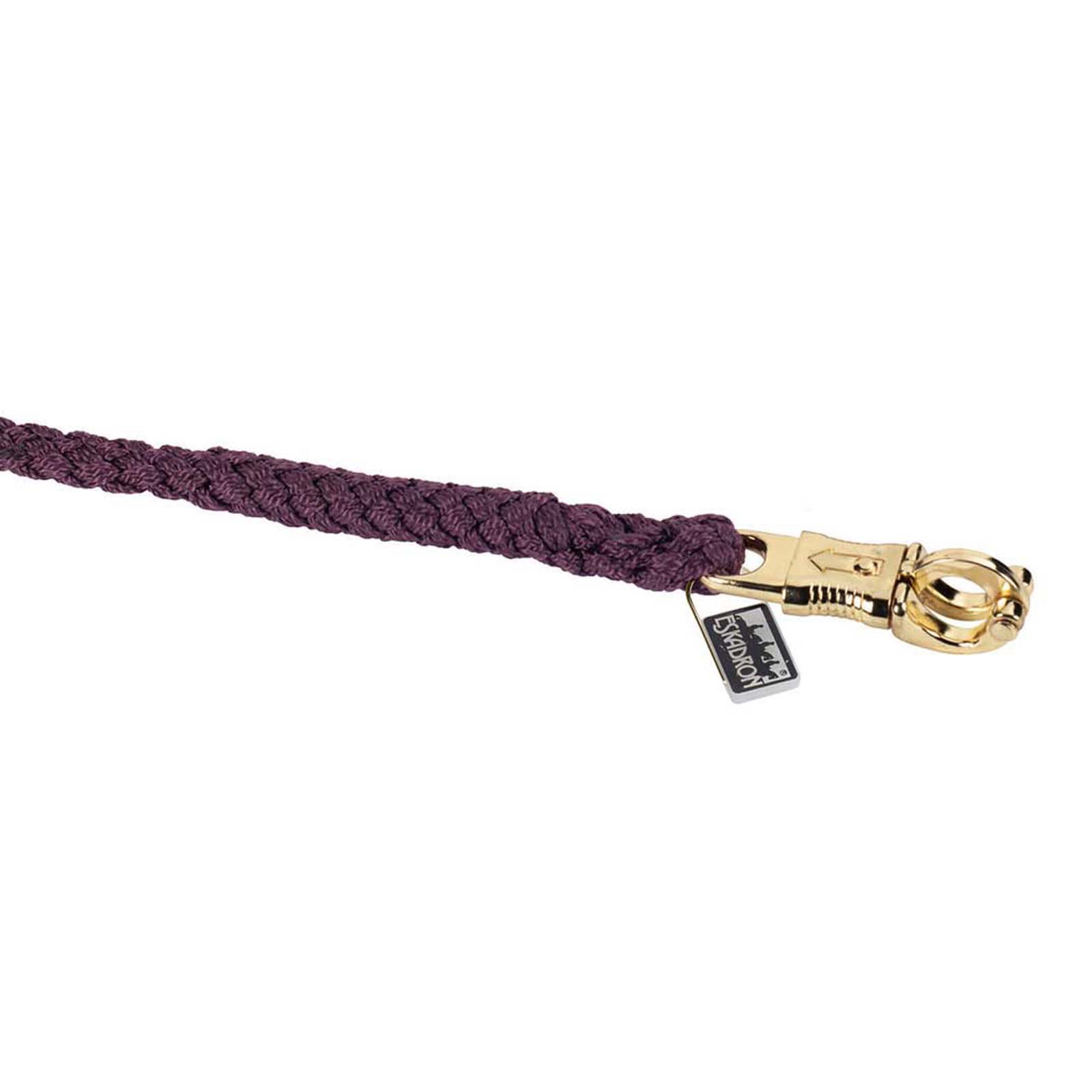 Eskadron riimunnaru PANIIKKILUKKO messingillä päällystetty, kpl