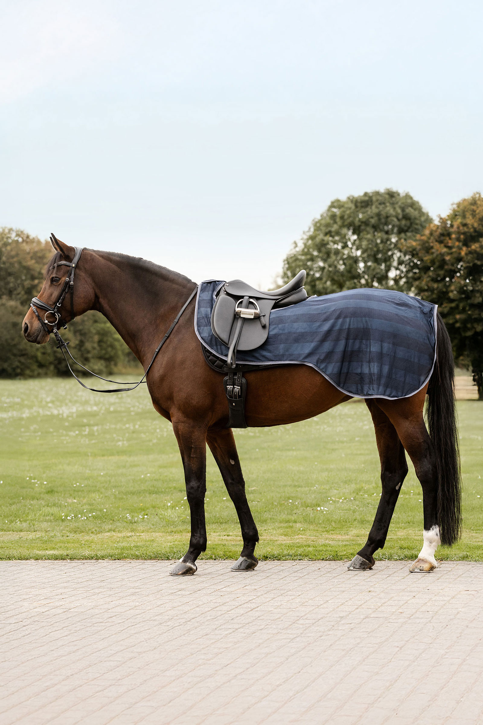 Night Blue Waldhausen Economic ratsastukseen tarkoitettu k&auml;rp&auml;ssuoja