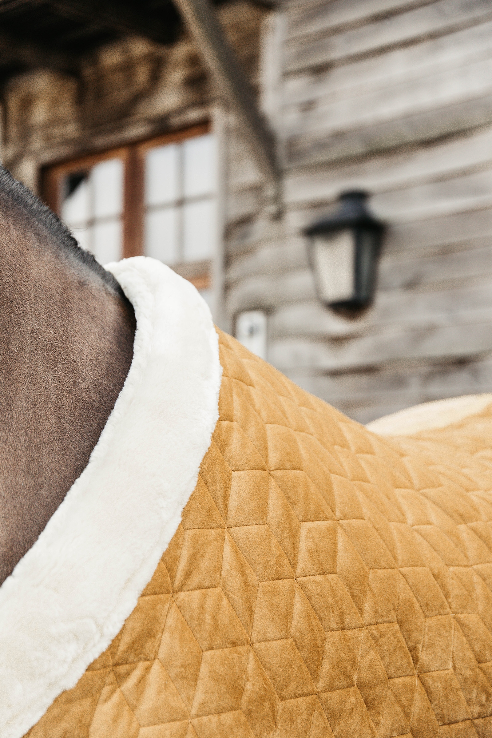 Kentucky Velvet Pony kilpailuloimi, 160 g