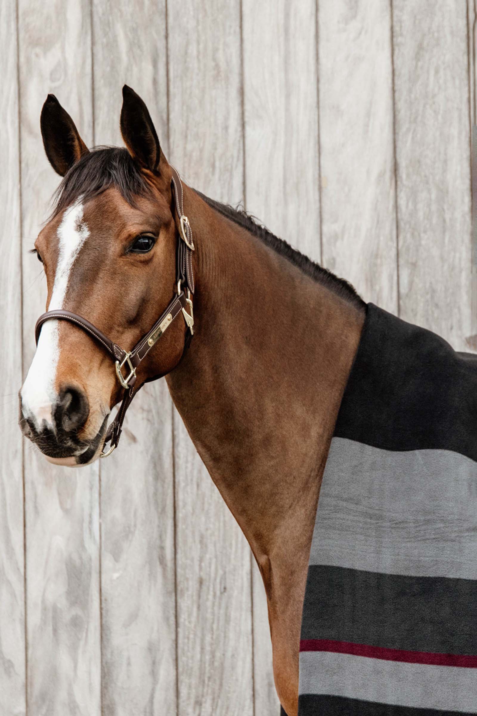 Kentucky Horsewear Heavy fleeceloimi