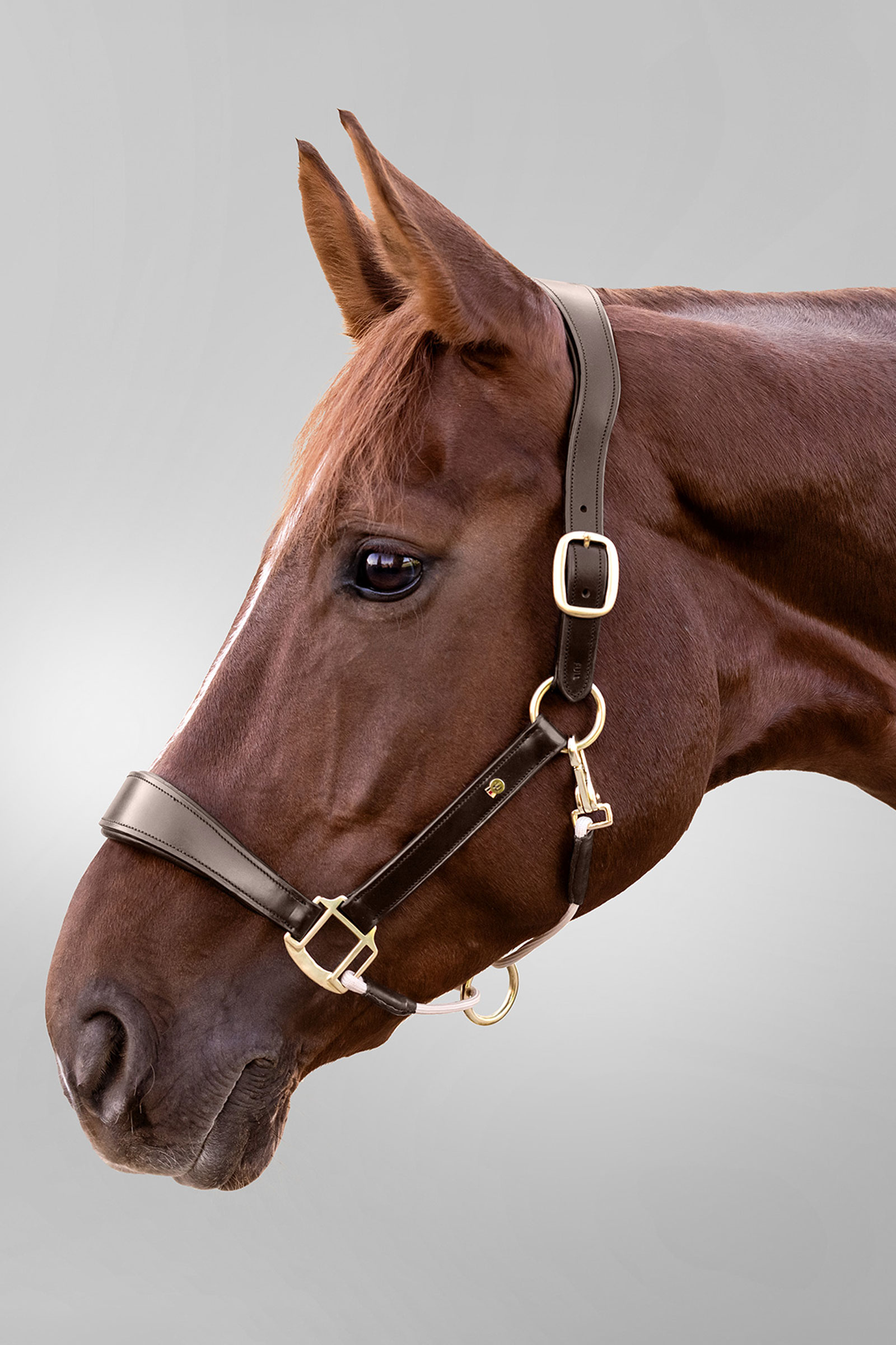 Royal Waldhausen S-Line nahkariimu