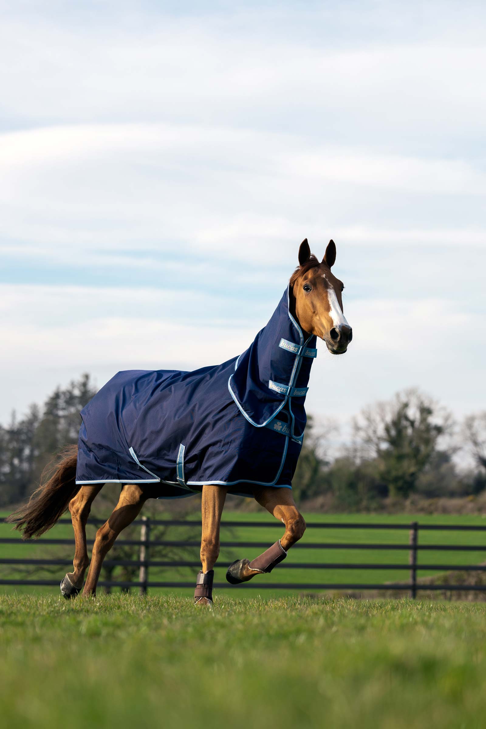 Bucas Atlantic Exclusive Rug & Neck Set, 0 g