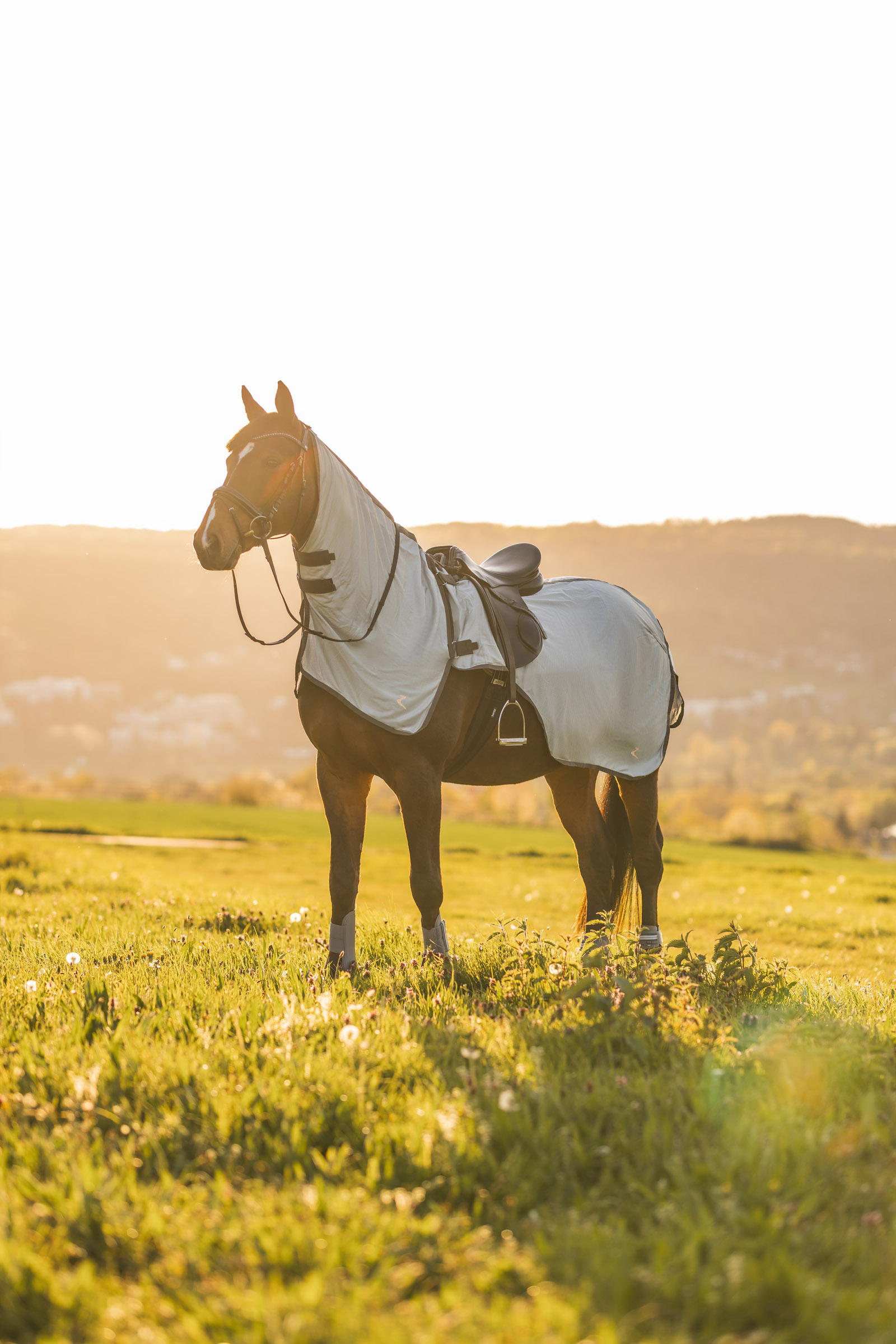 Horze Eira UV-hyönteisratsastusloimi irrotettavalla kaulakappaleella