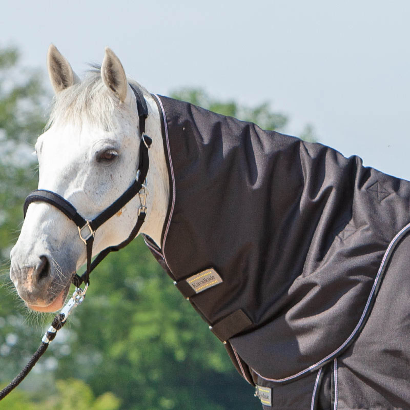 Black Kavalkade kaulakappale Alaska IV loimeen, 100 g