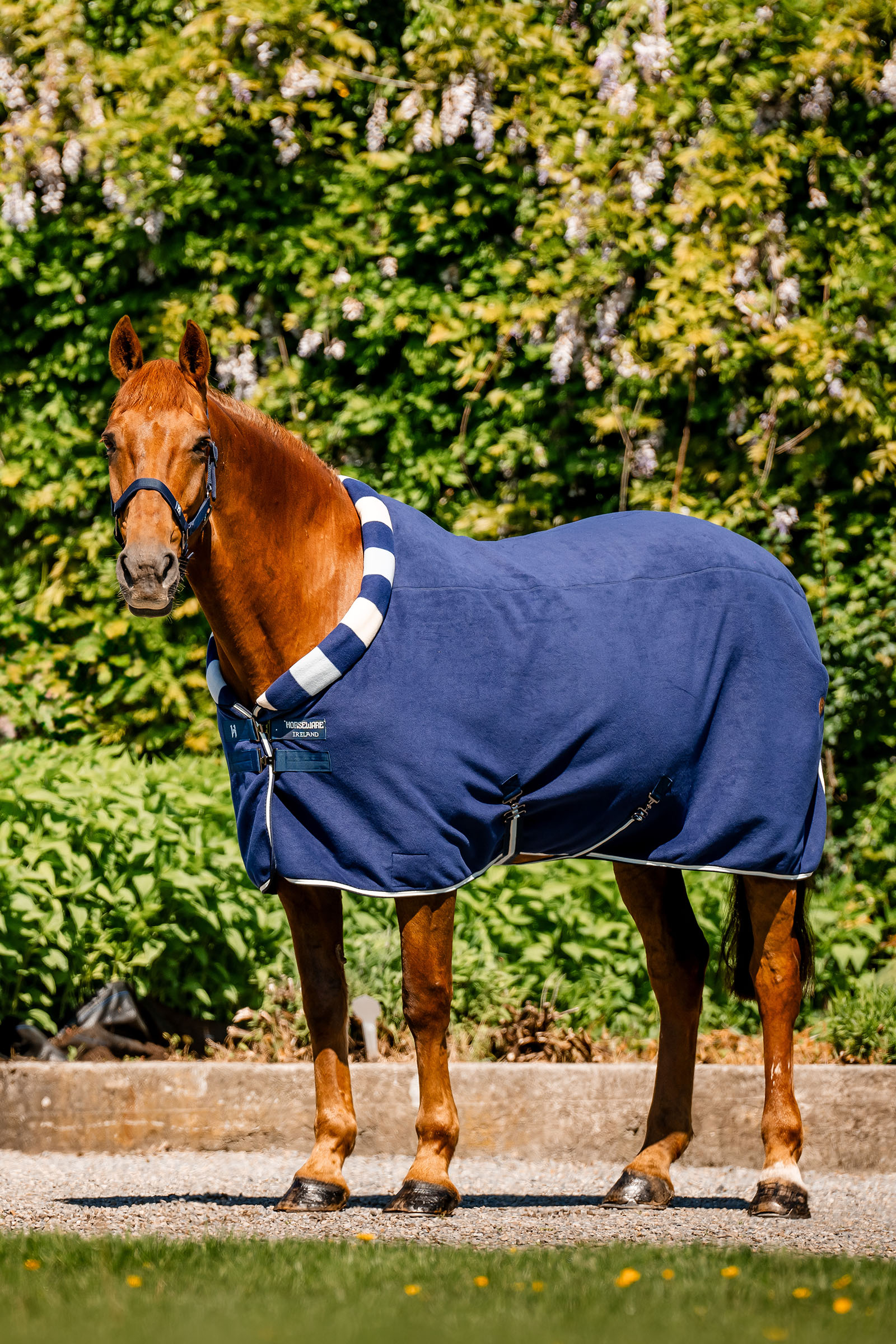 Horseware Newmarket Cosy Fleece Kuivatusloimet