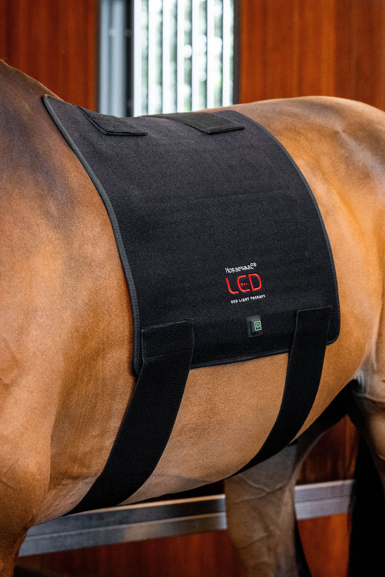 Horseware LED punavalohoitoinen Pad