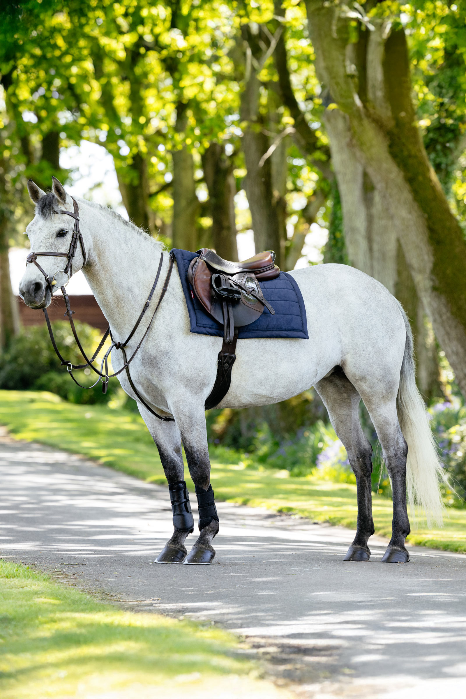 LeMieux Pillow pehmustettu satulahuopa yleisneliö