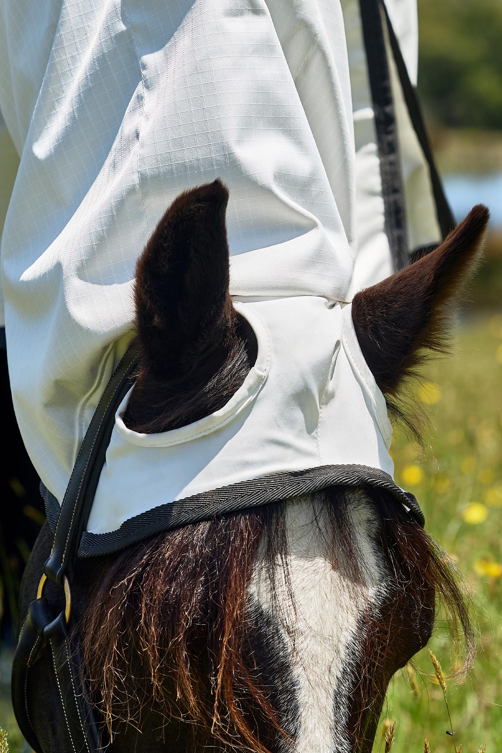 Weatherbeeta ComFiTec Sweet Itch Shield K&auml;rp&auml;slowimi yhdistelm&auml; kiinte&auml;ll&auml; kaulalla, 0 g  
