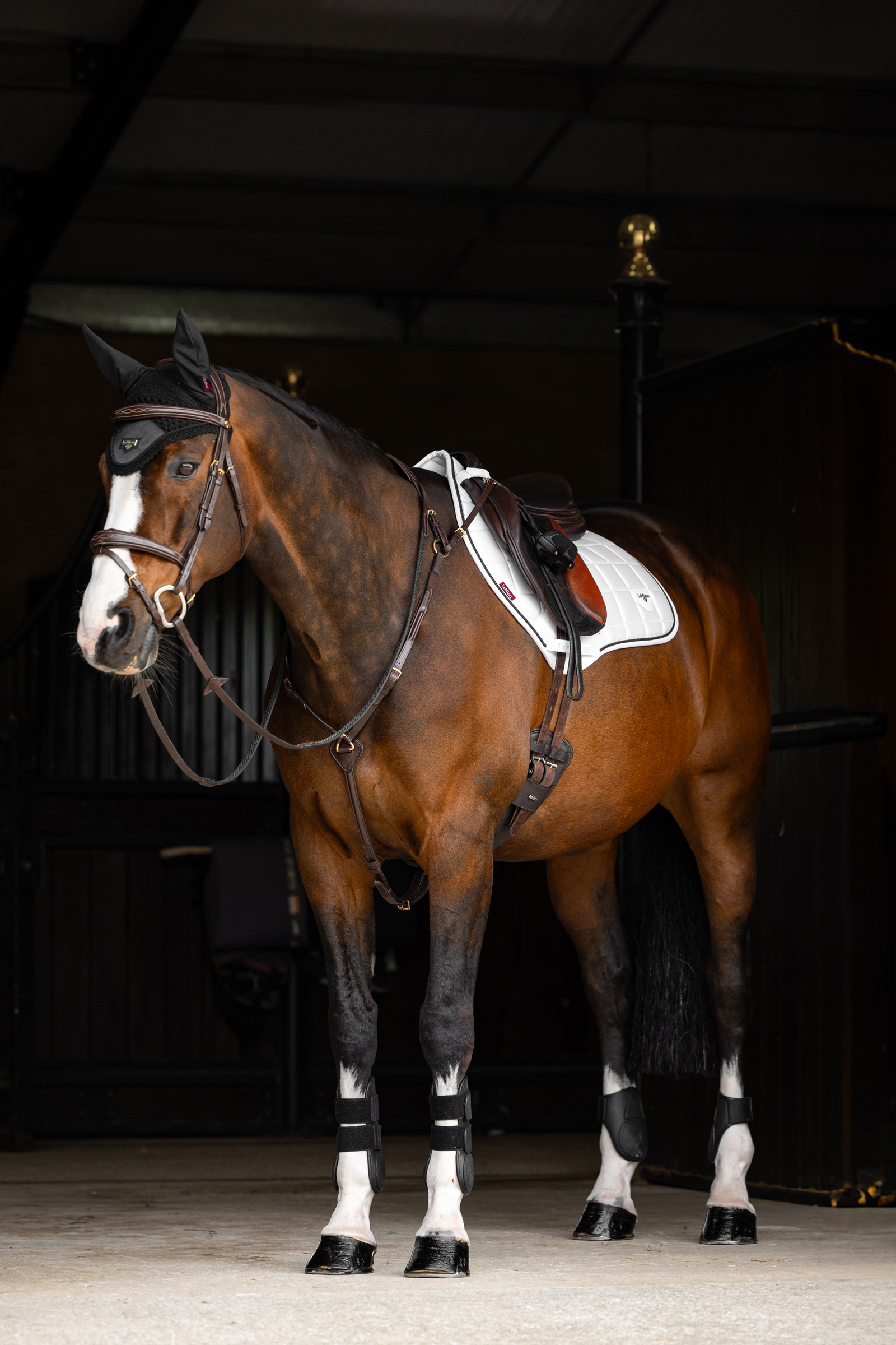 LeMieux Loire Square CC Estesatulahuopa