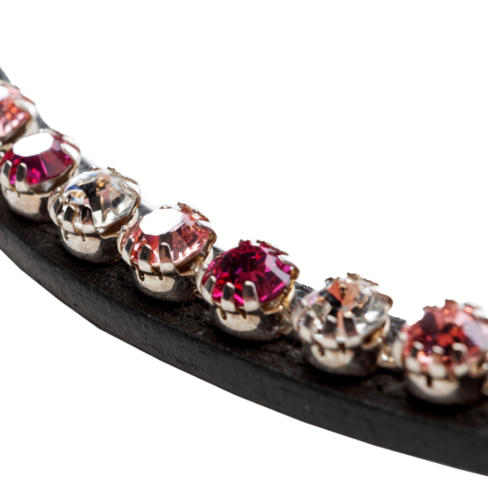 Kavalkade Splendid otsapanta