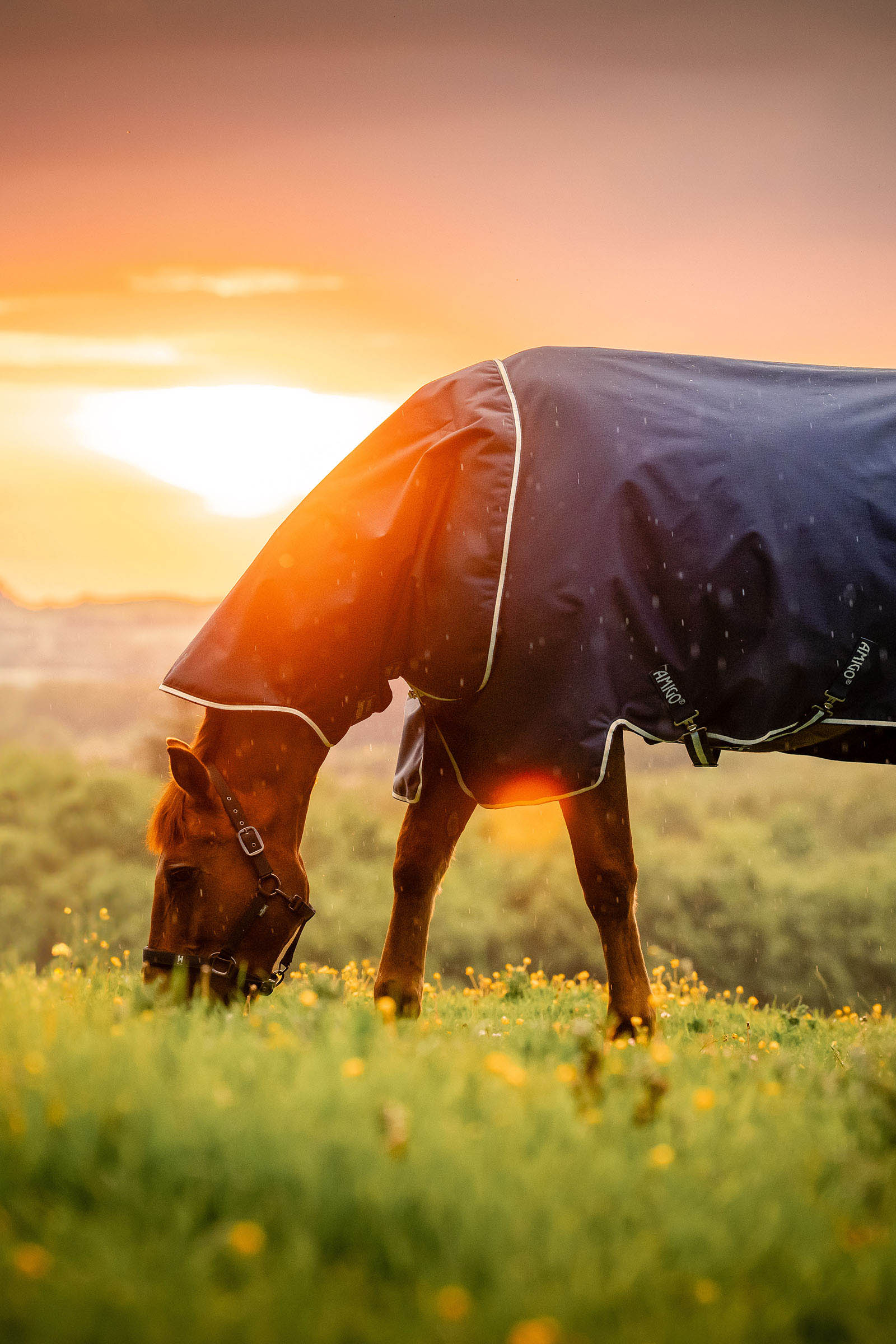 Witney Navy Horseware Amigo Ripstop 900D Plus ulkoloimi, 200 g