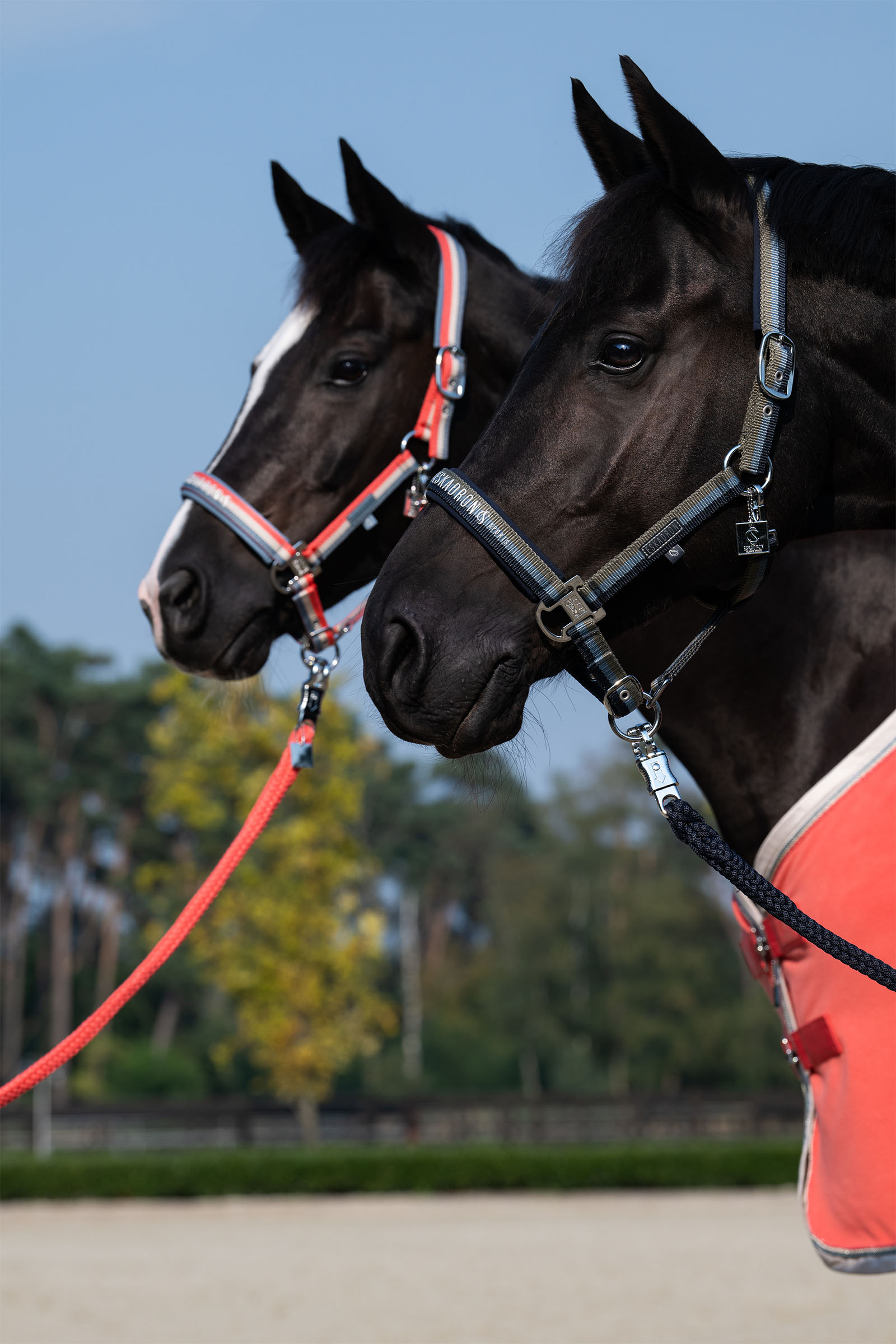 Eskadron Classic Sports SS25 Suitsi kaksinkertaisella soljella