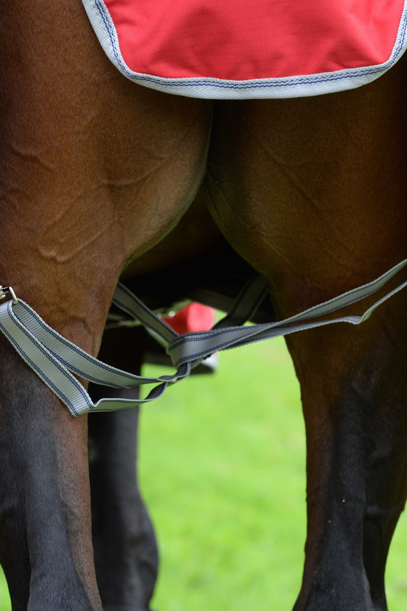 Weatherbeeta Comfitec Classic Loimi integroidulla kauluksella, 50g