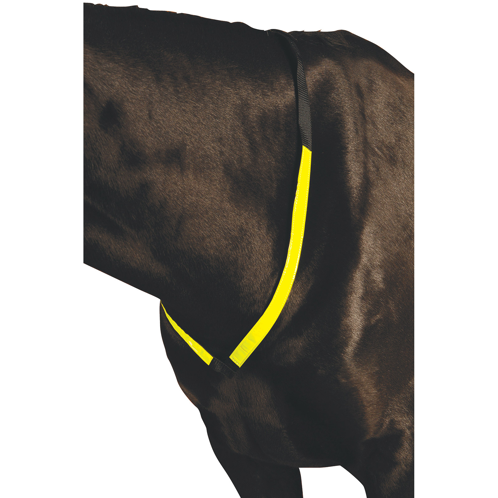 Roma-heijastava rintaremmi