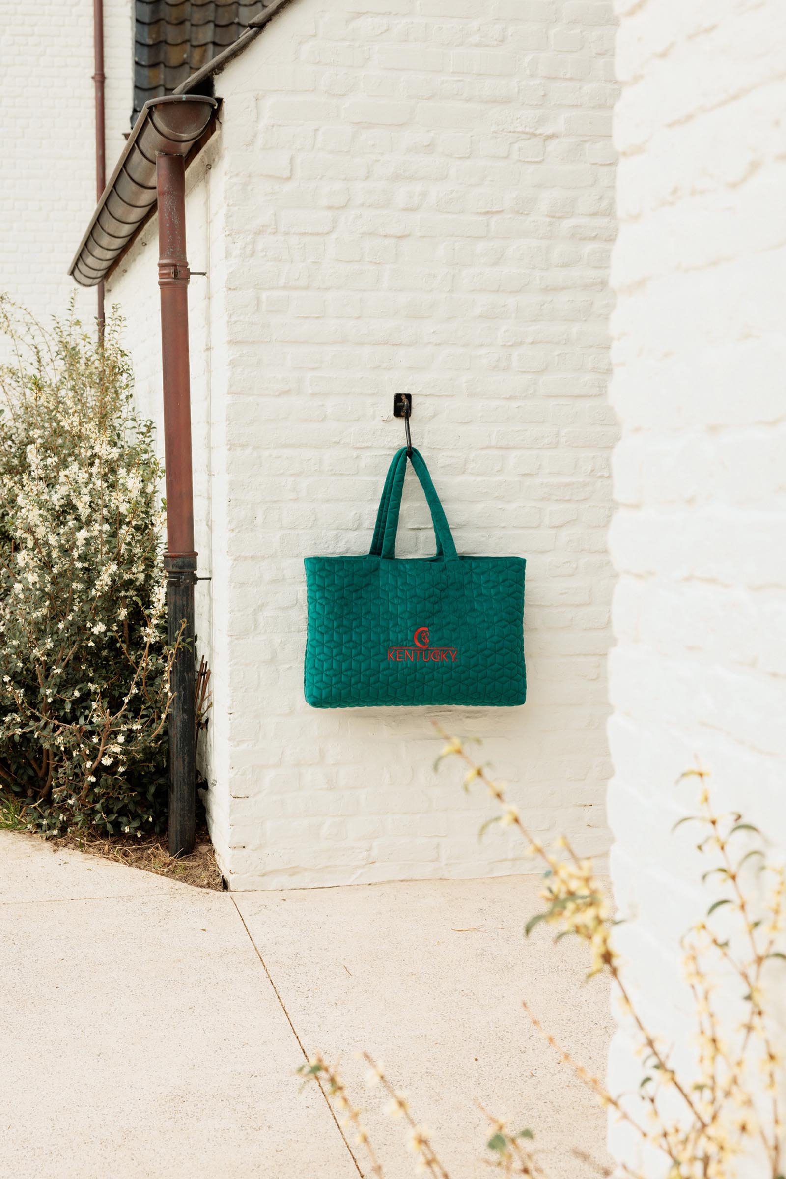 Kentucky Horsewear samettikassi logolla  